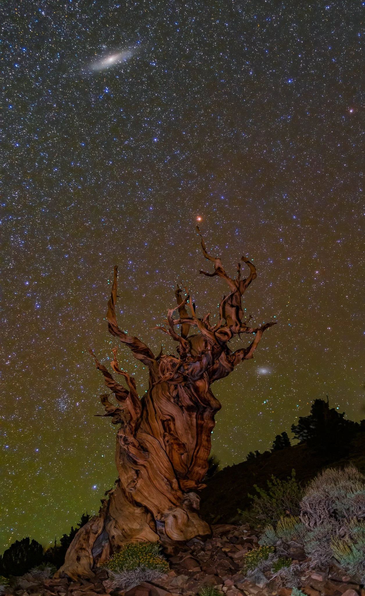Andromeda galaxy and Triangulum Galaxy