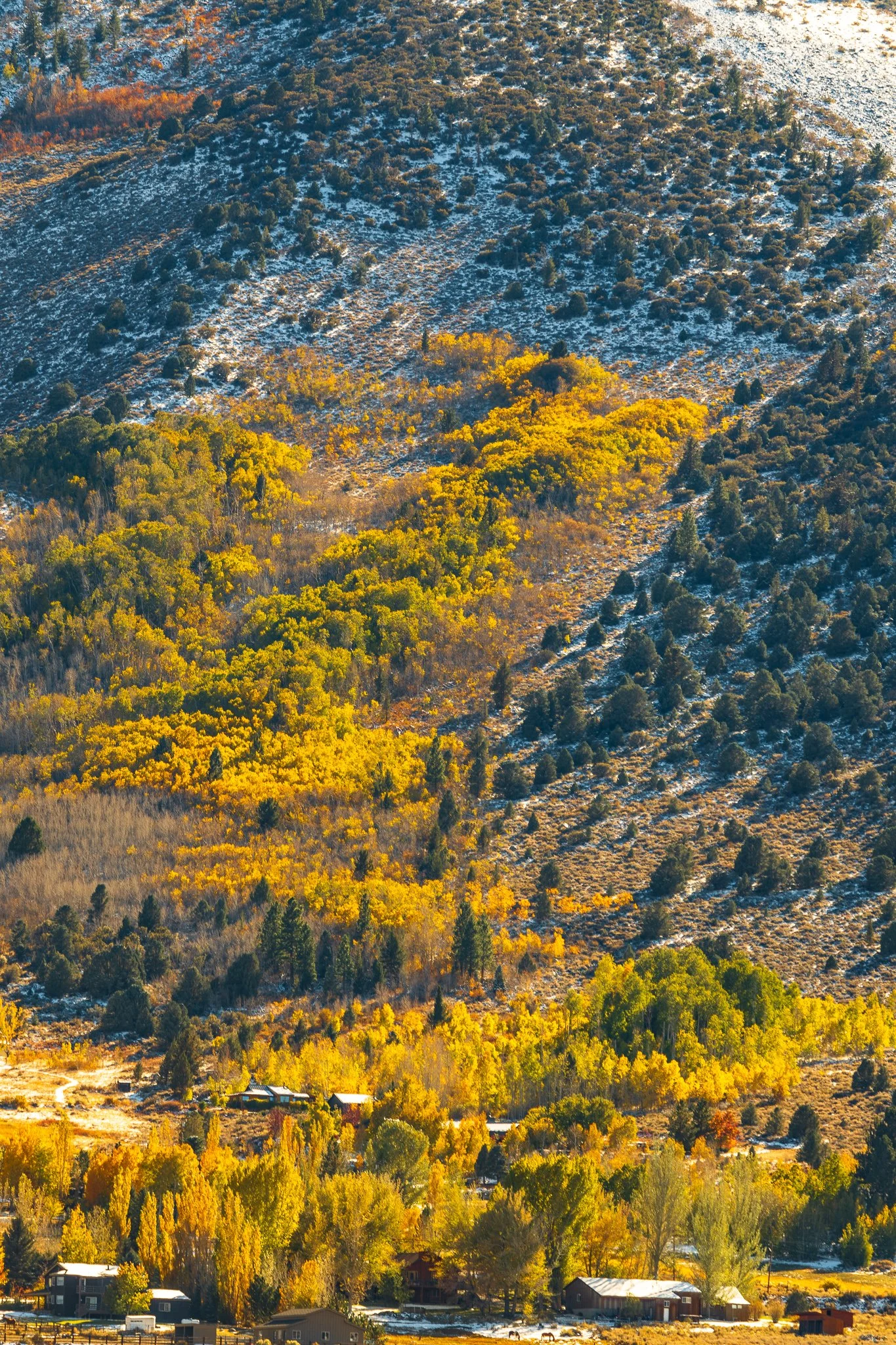 _04A9657.jpg