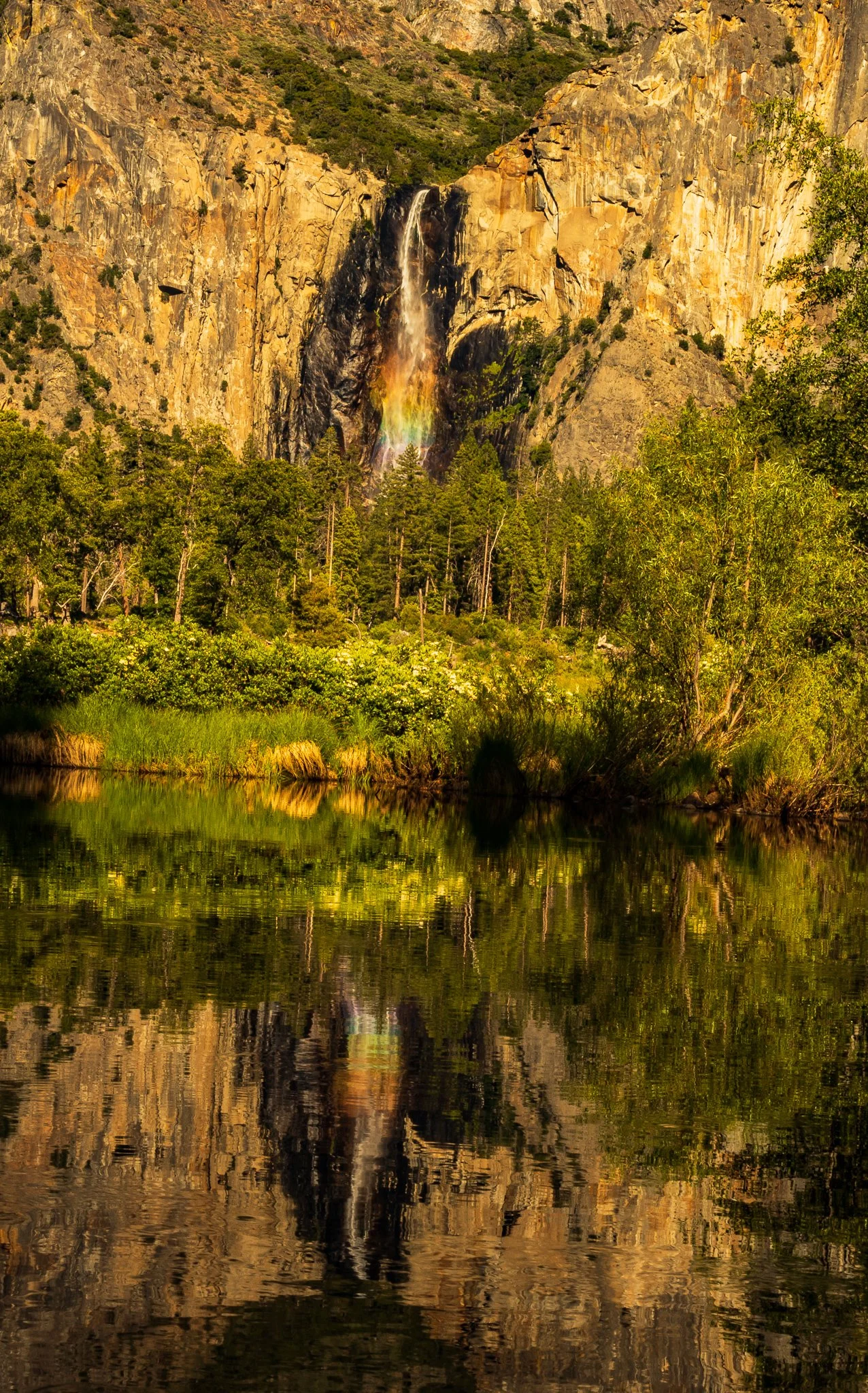 _MG_7321.jpg