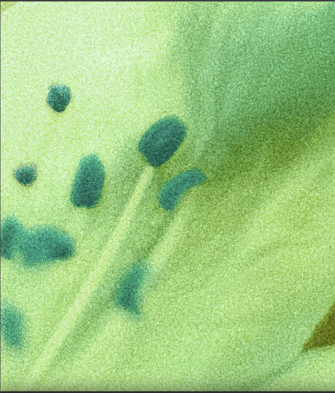 PHEROMONE: 50 Presets for Love 2