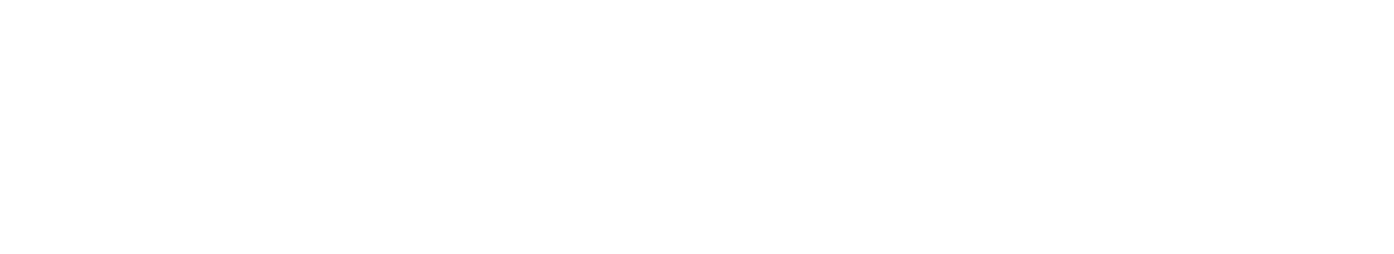 LZL Coaching logo