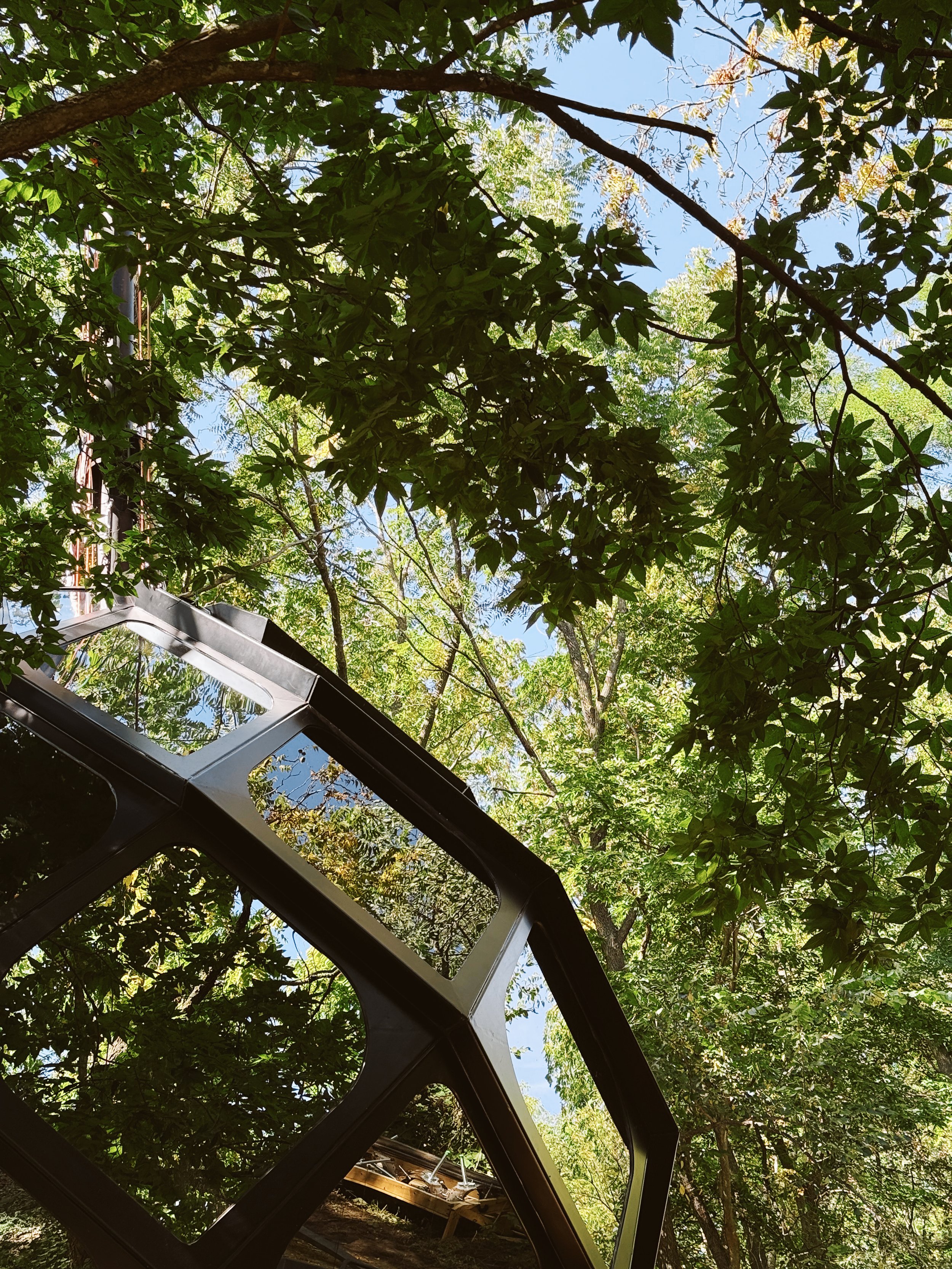View of tree branches and green leaves against a bright blue sky, seen through the reflection in Moonhaven's Mirrored Windows