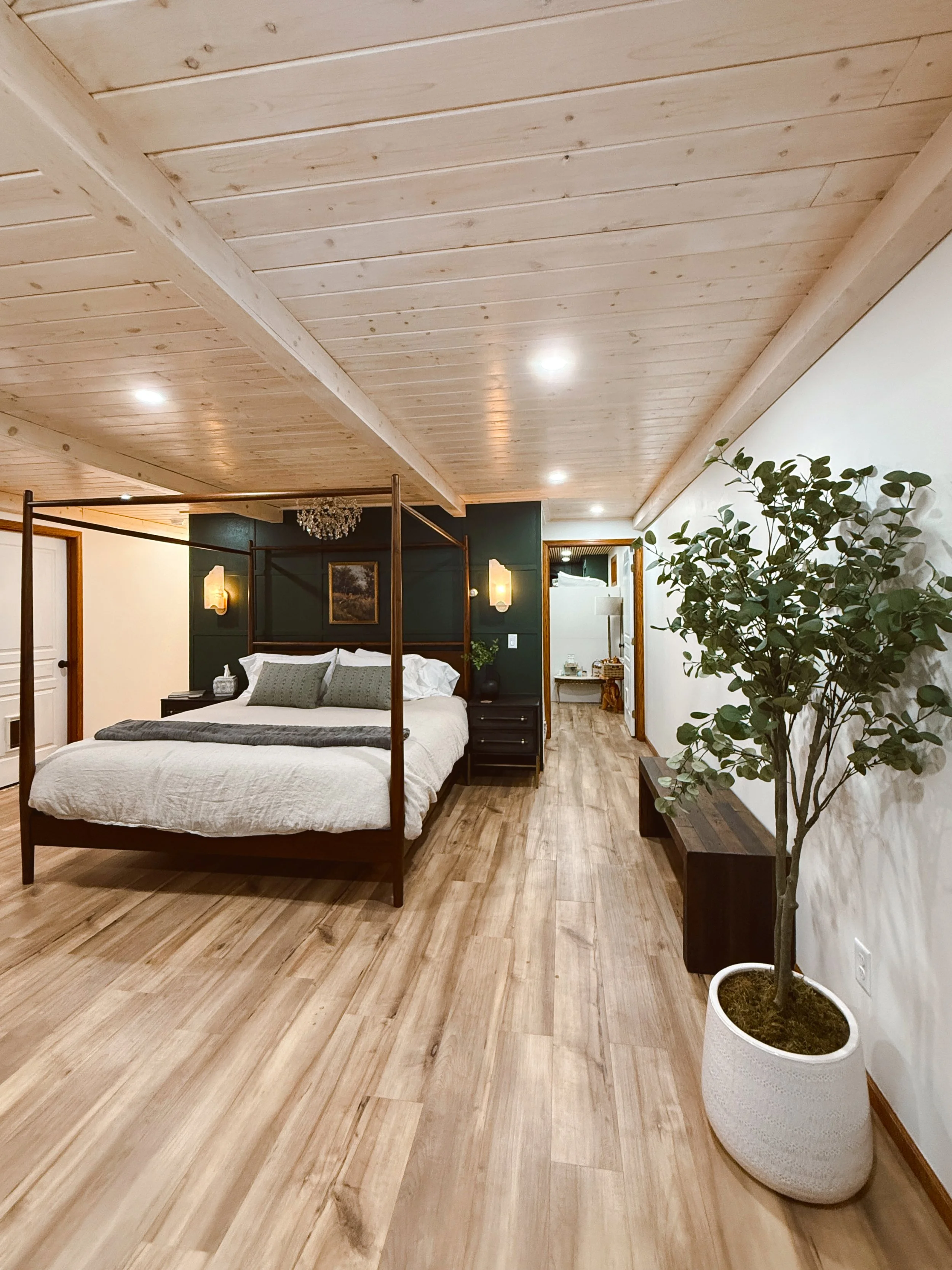 large king sized bed and bedroom with modern decor and tree