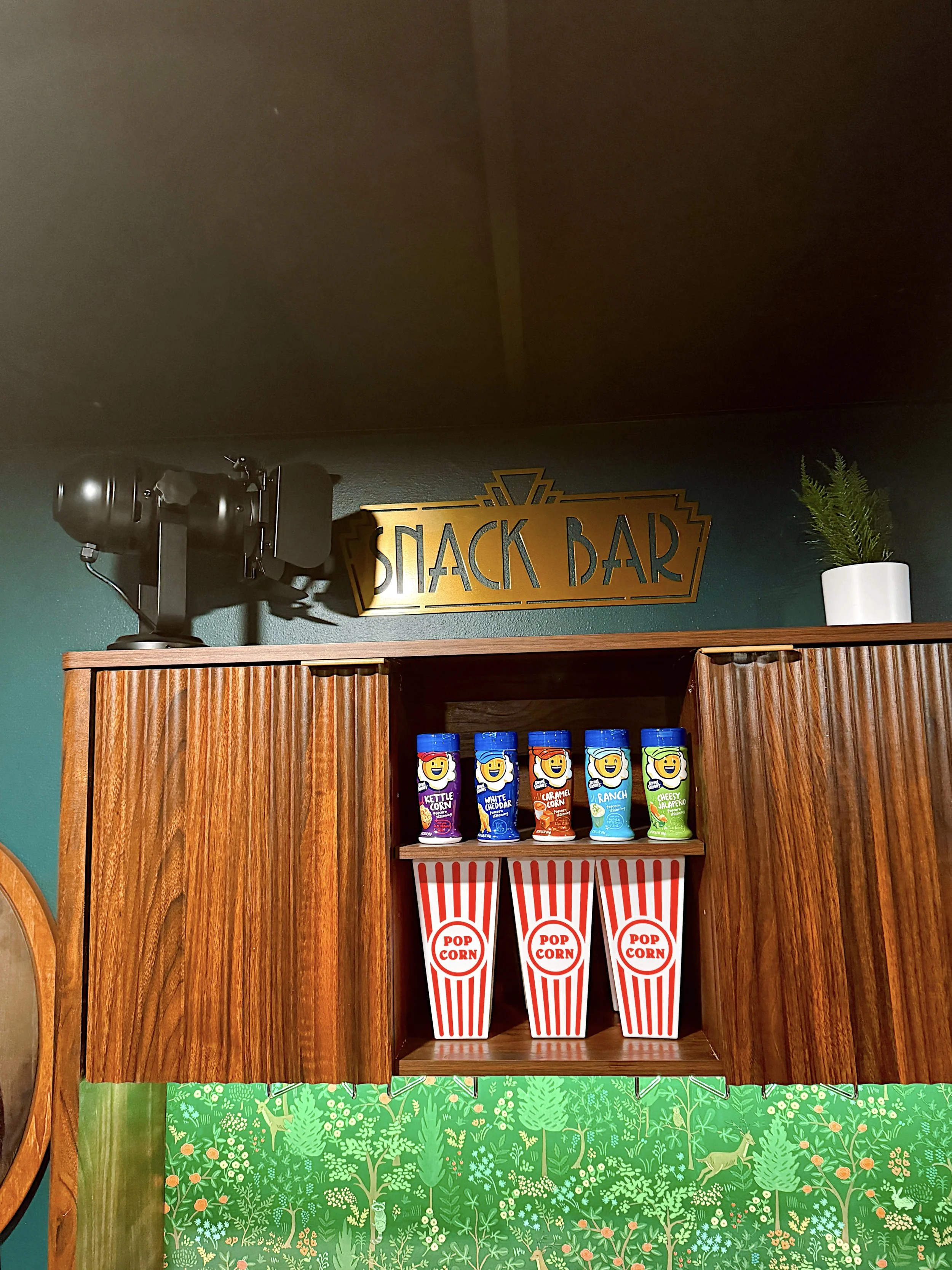 movie theater in home