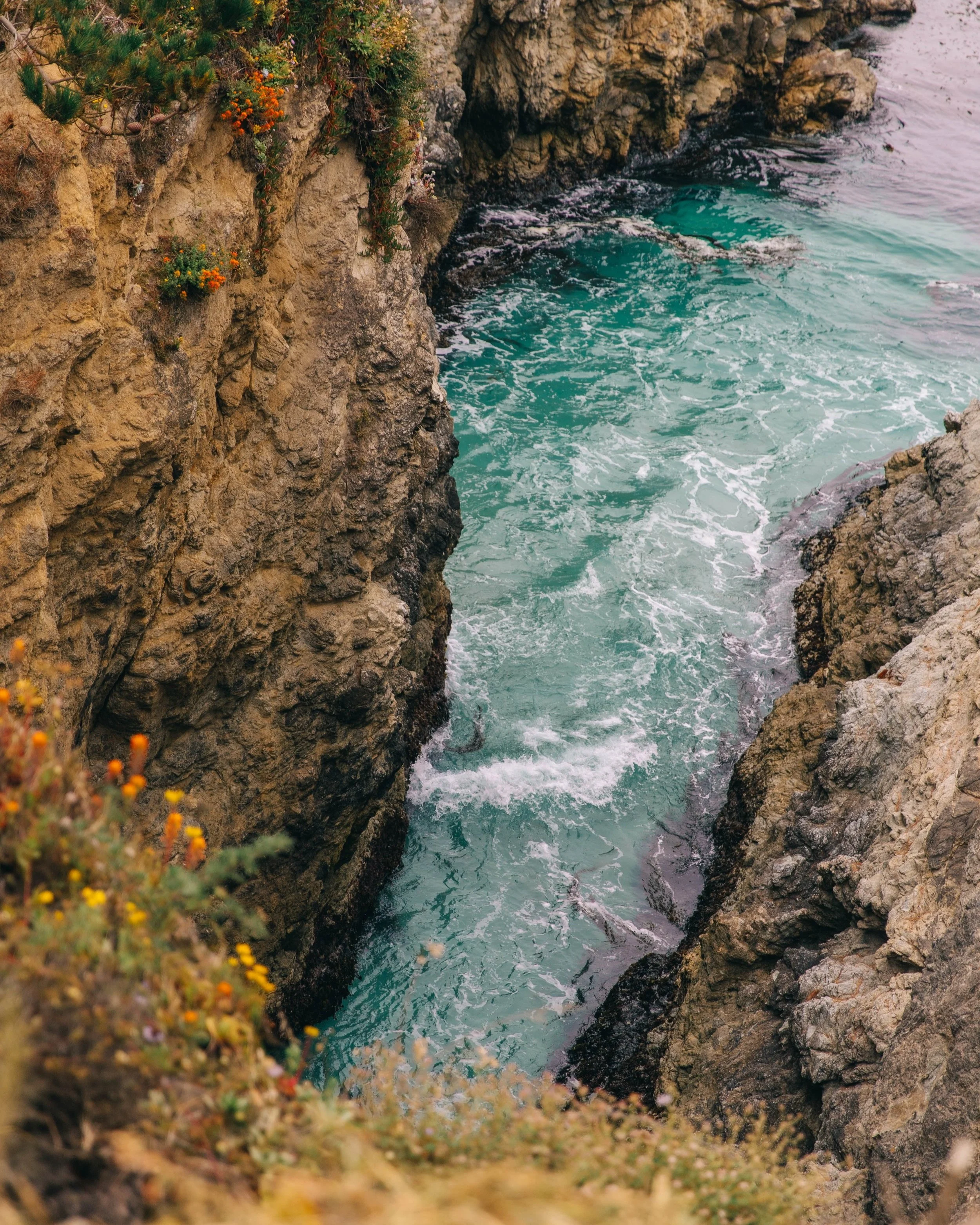 Monterey-53.jpg