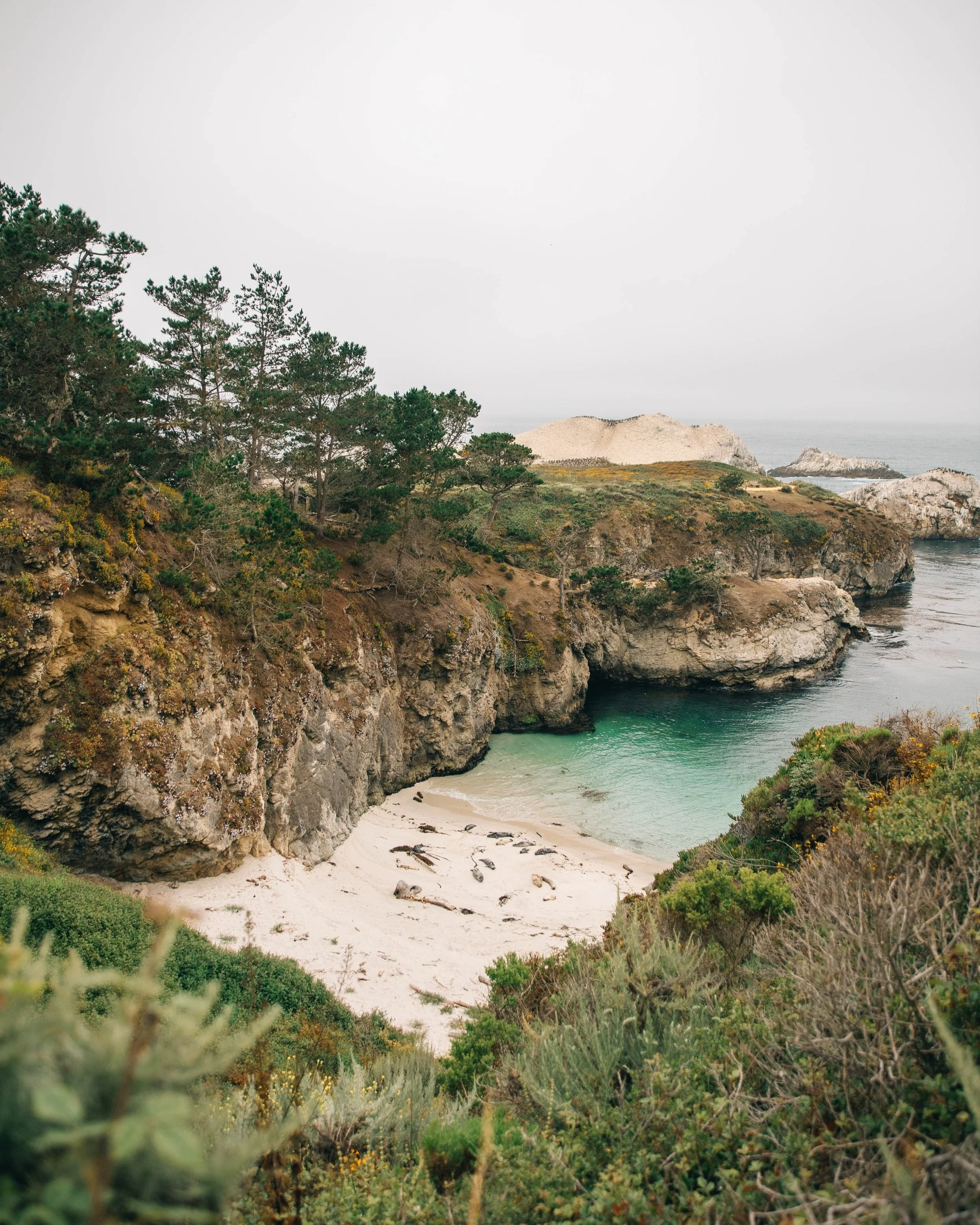 Monterey-39.jpg