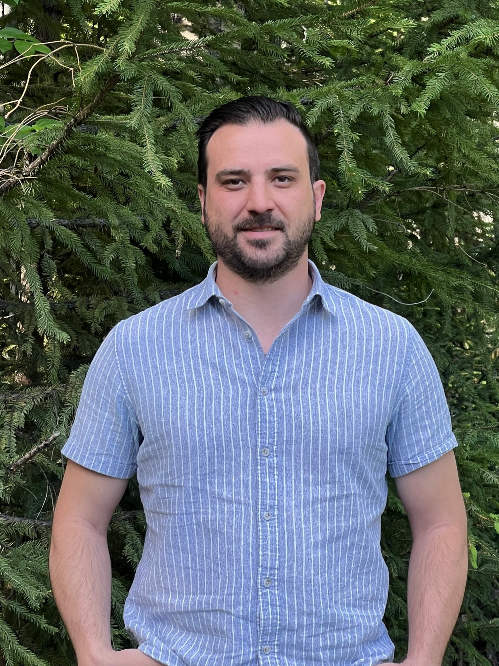 A man with dark hair and a beard, wearing a blue and white striped shirt, standing outdoors in front of green pine tree branches.