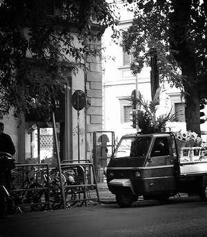 SUNFLOWER DELIVERY. ITALY.