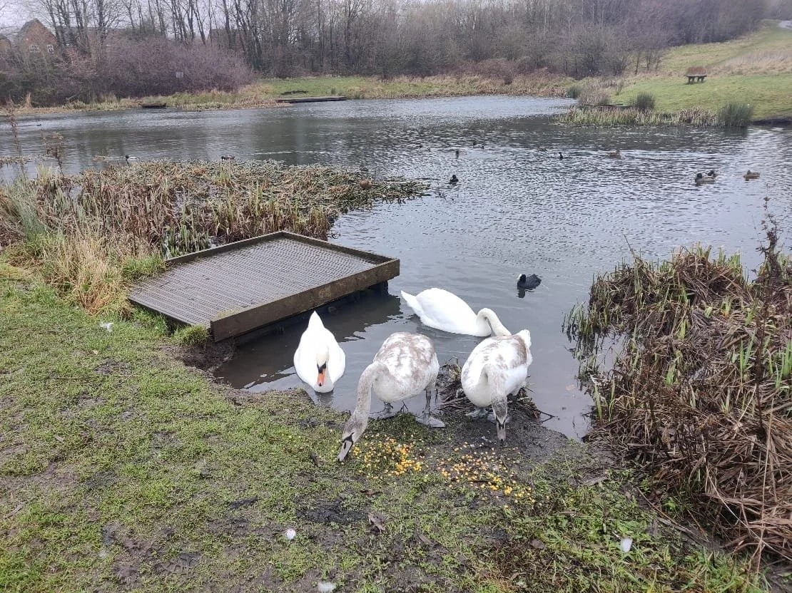 Eatock Lodge improvements — My Westhoughton