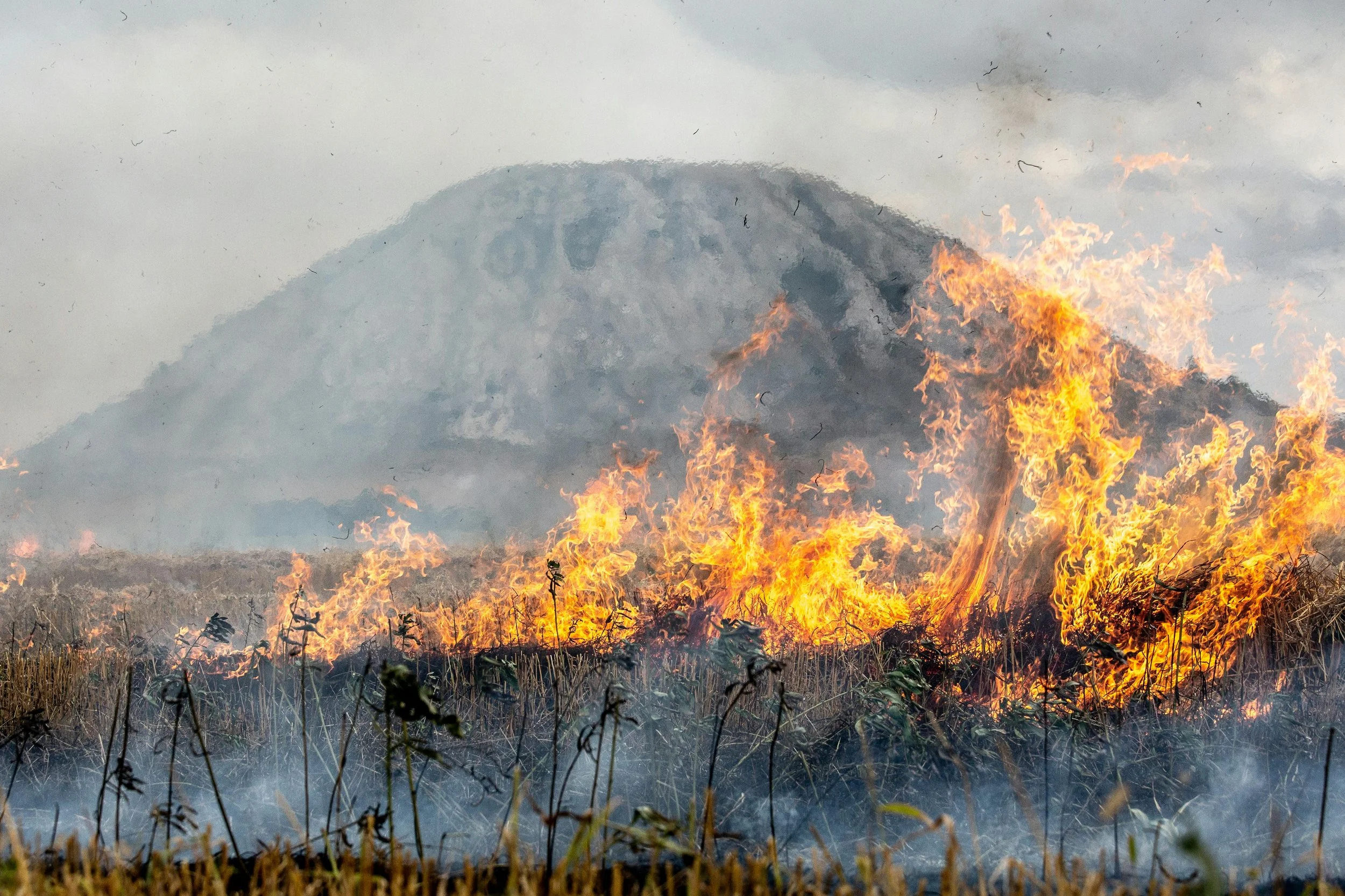 Designing for Wildfire: Building Resilience for Summer 2026 and Beyond