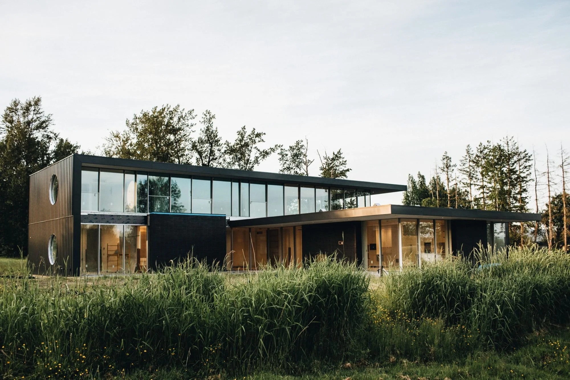 Modern house with large glass windows and black exterior, situated in a grassy field with trees in the background.