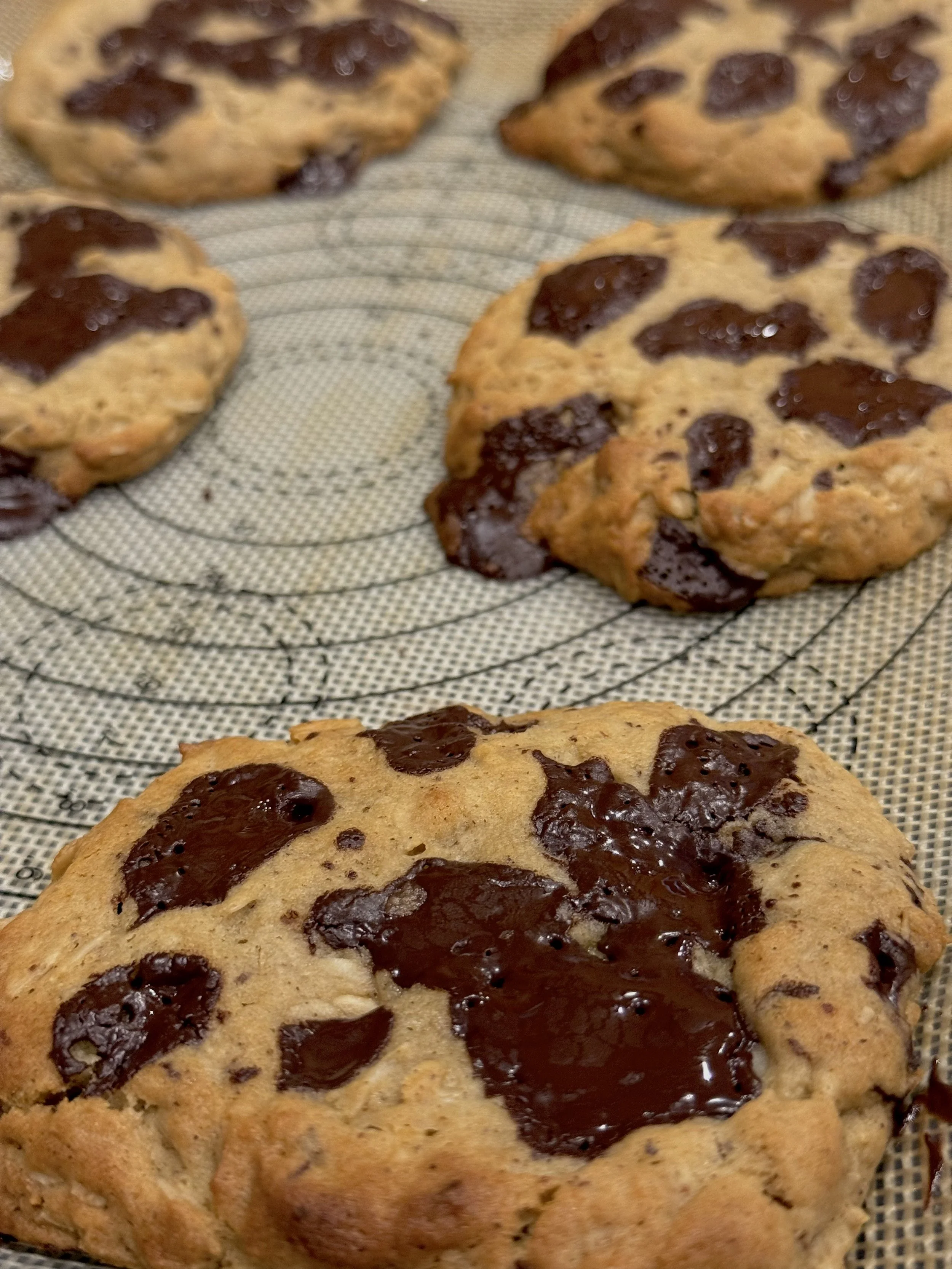 SMALL BATCH BROWN BUTTER CHOCOLATE MISO OAT COOKIES