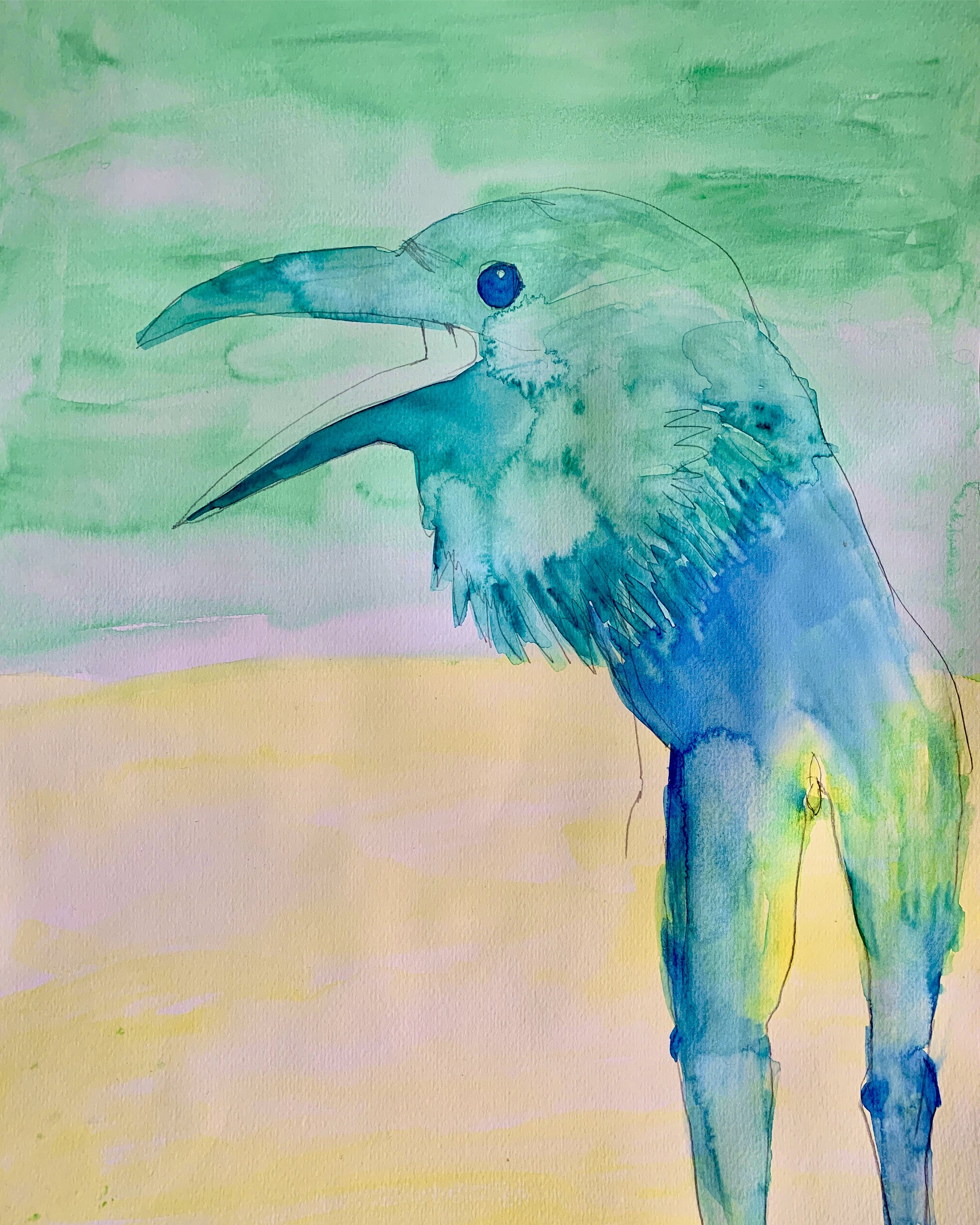 Bird Human