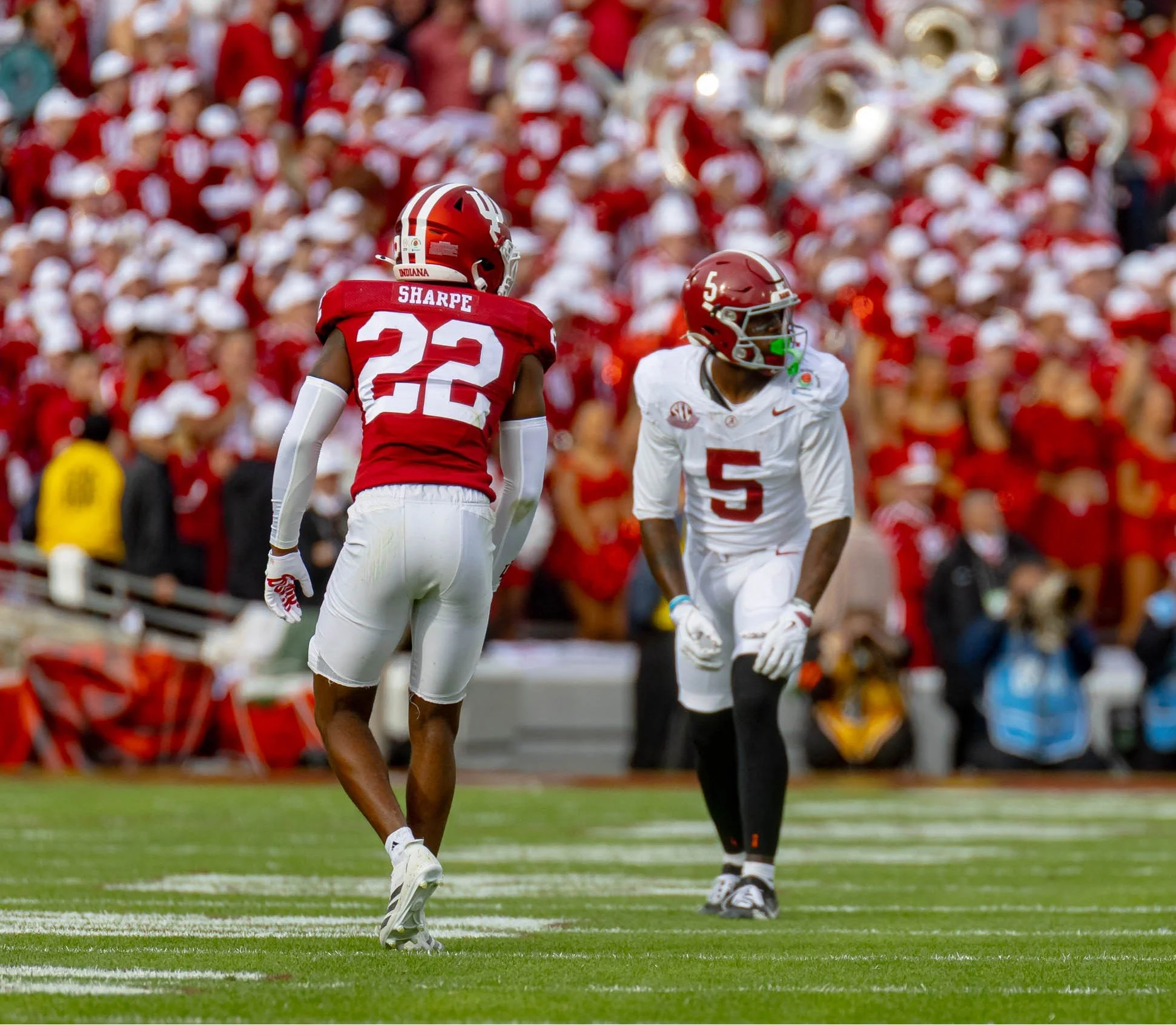 untitled (912 of 6917).jpg