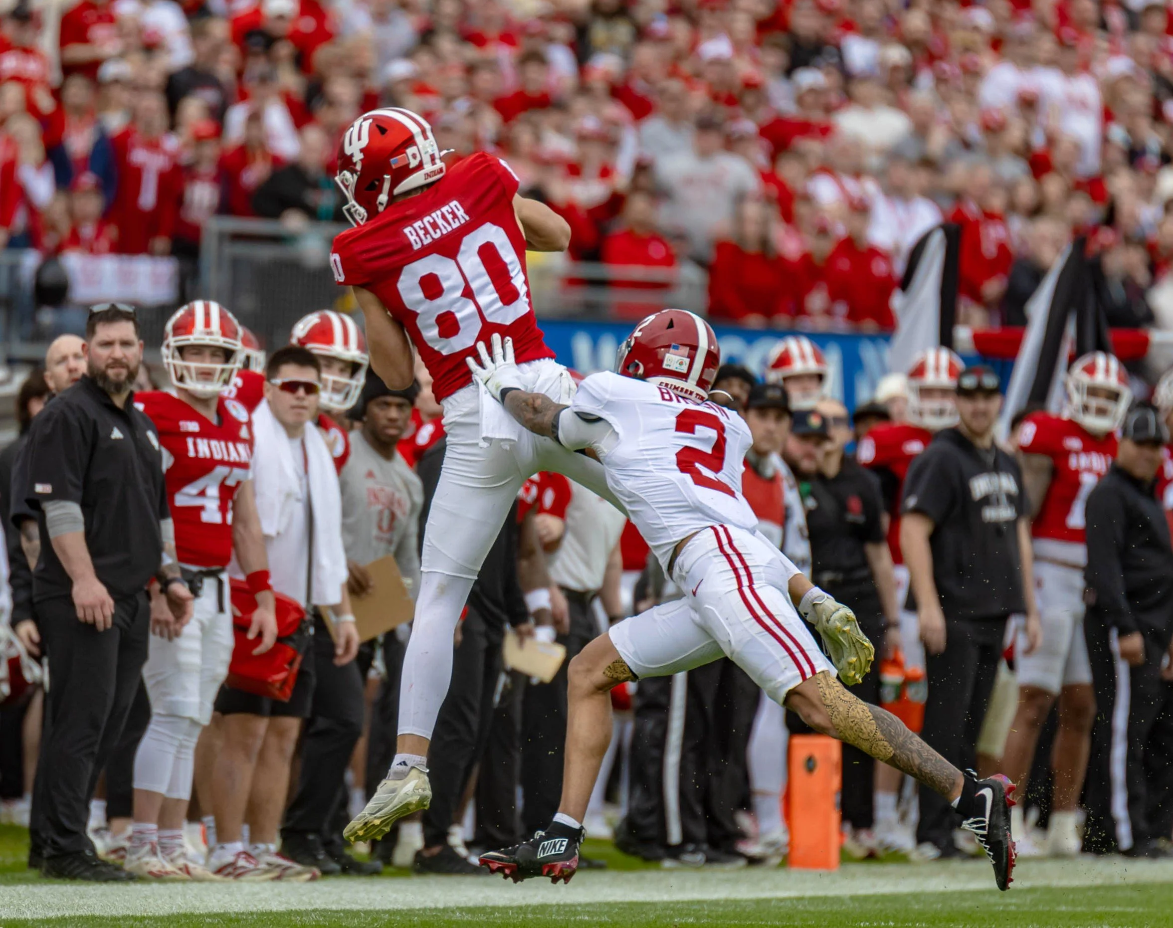 untitled (2177 of 4787).jpg