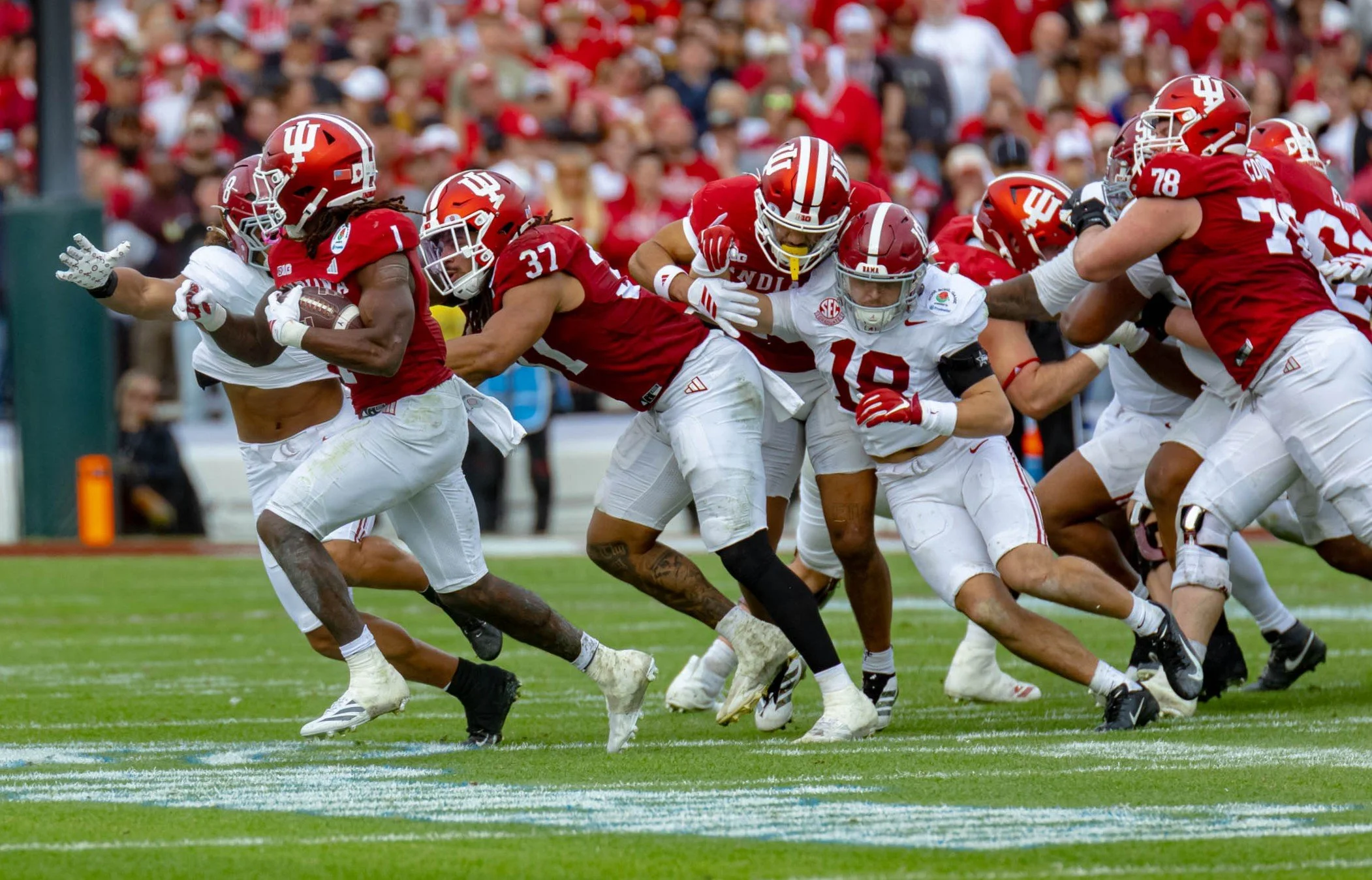 untitled (1042 of 6917).jpg