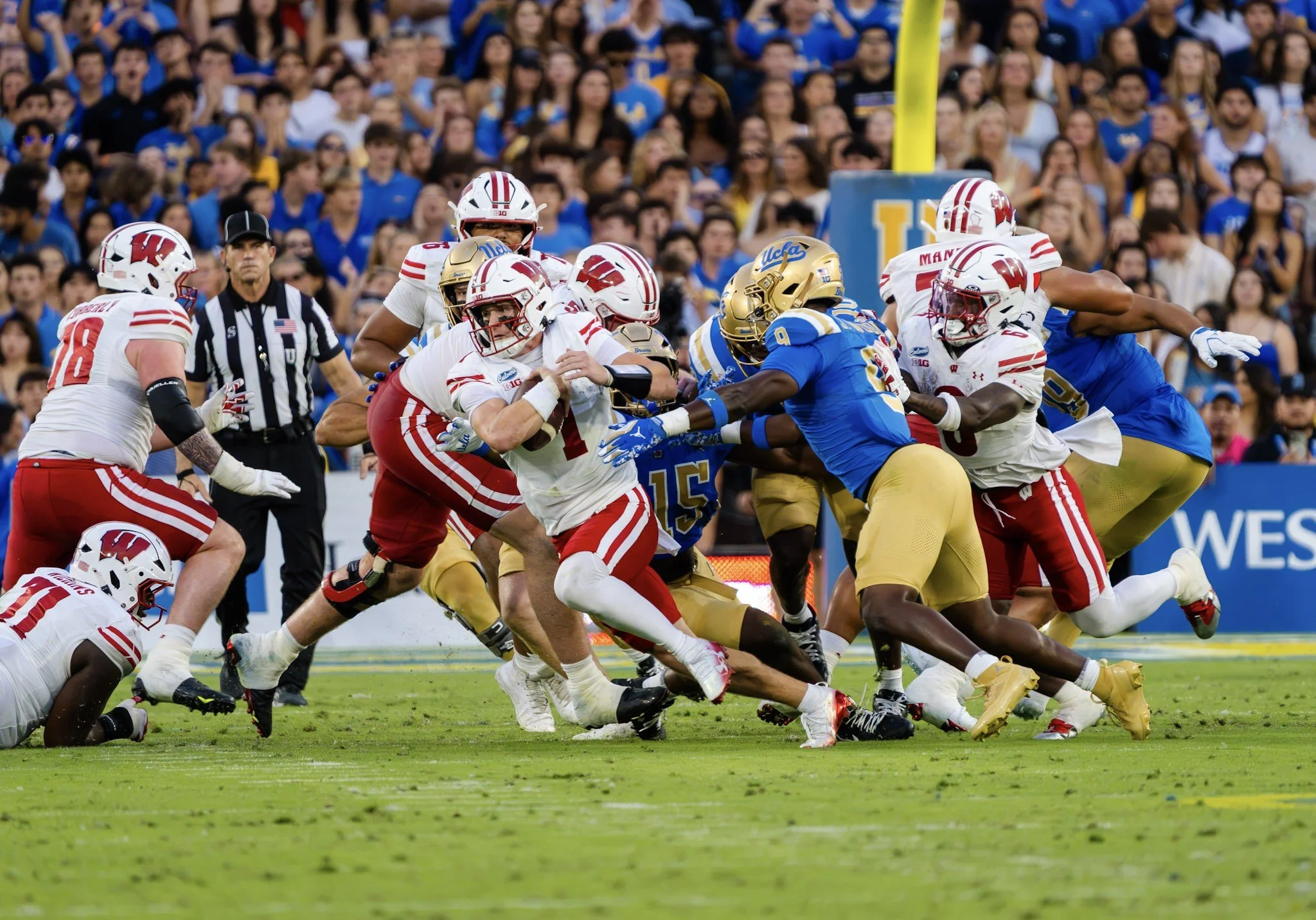 ucla-96.jpg