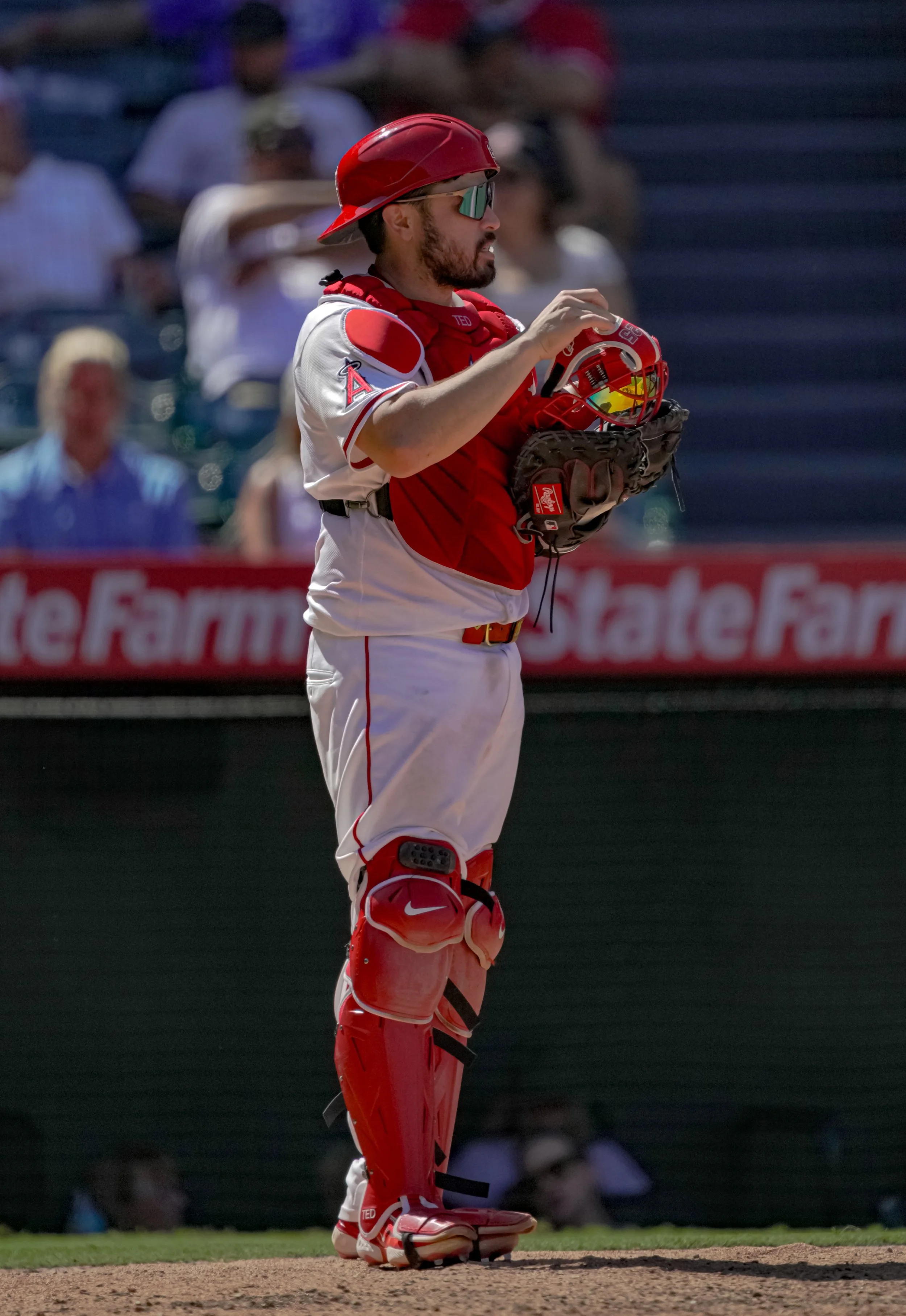 8~24~25   Cubs vs Angels (15).jpg