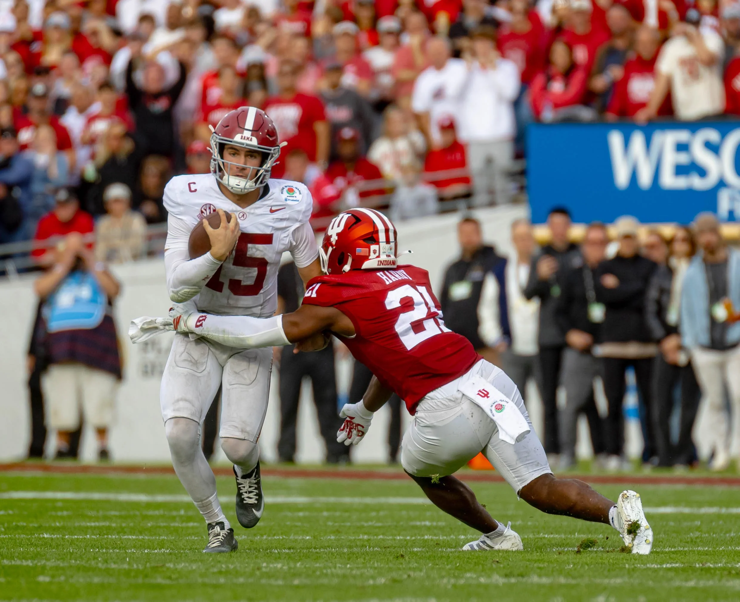 untitled (6567 of 6917).jpg