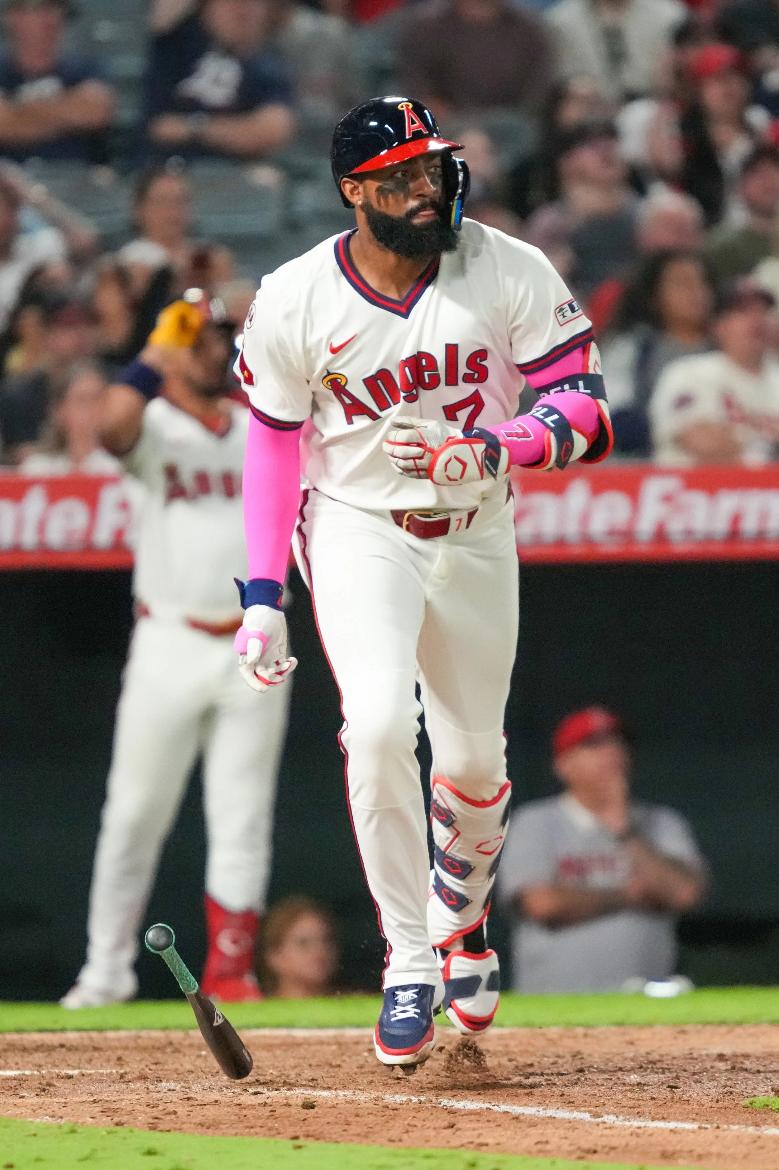 7~17~26 Tigers vs Angles (10).jpg