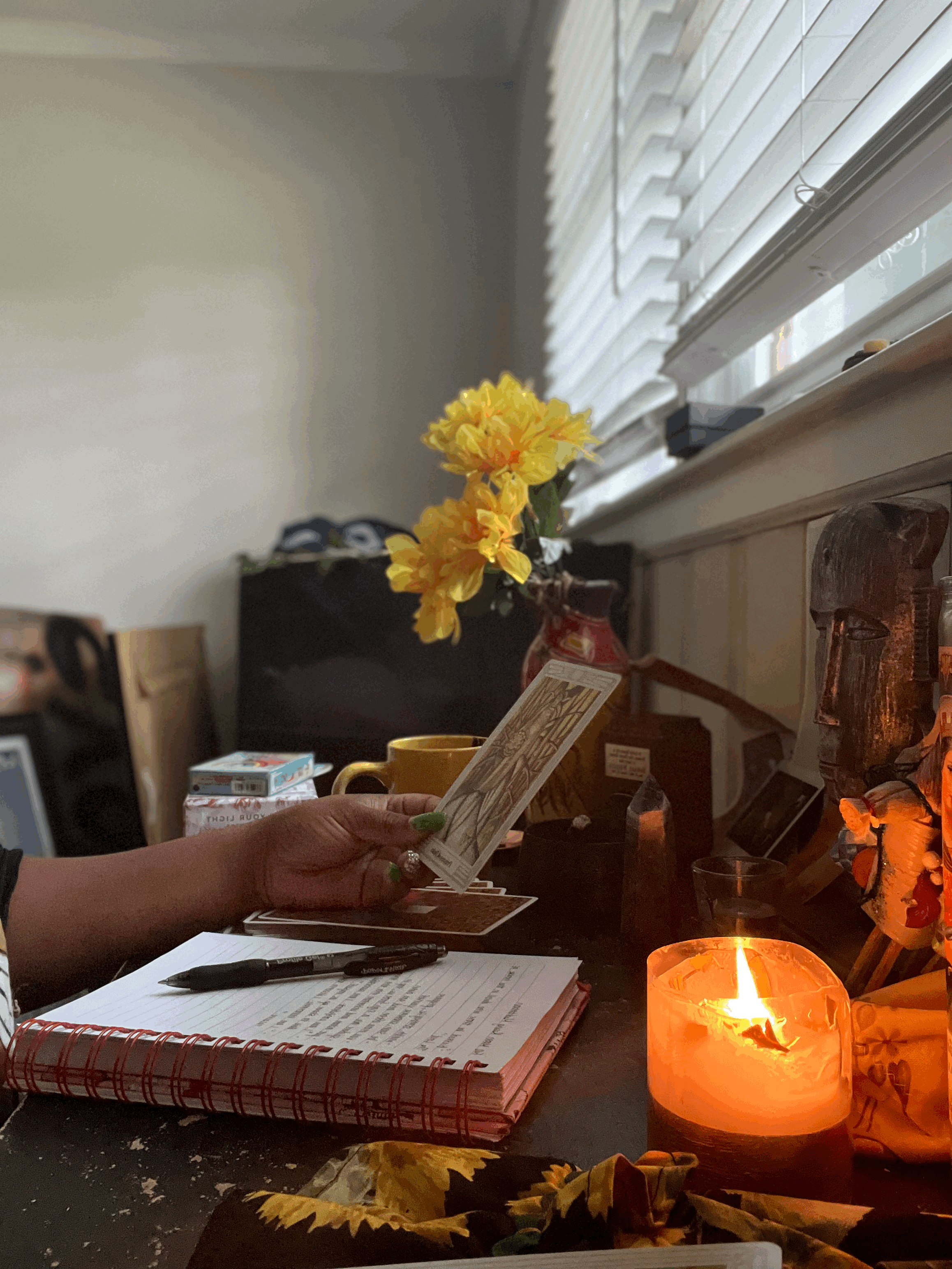Aries Season Reading