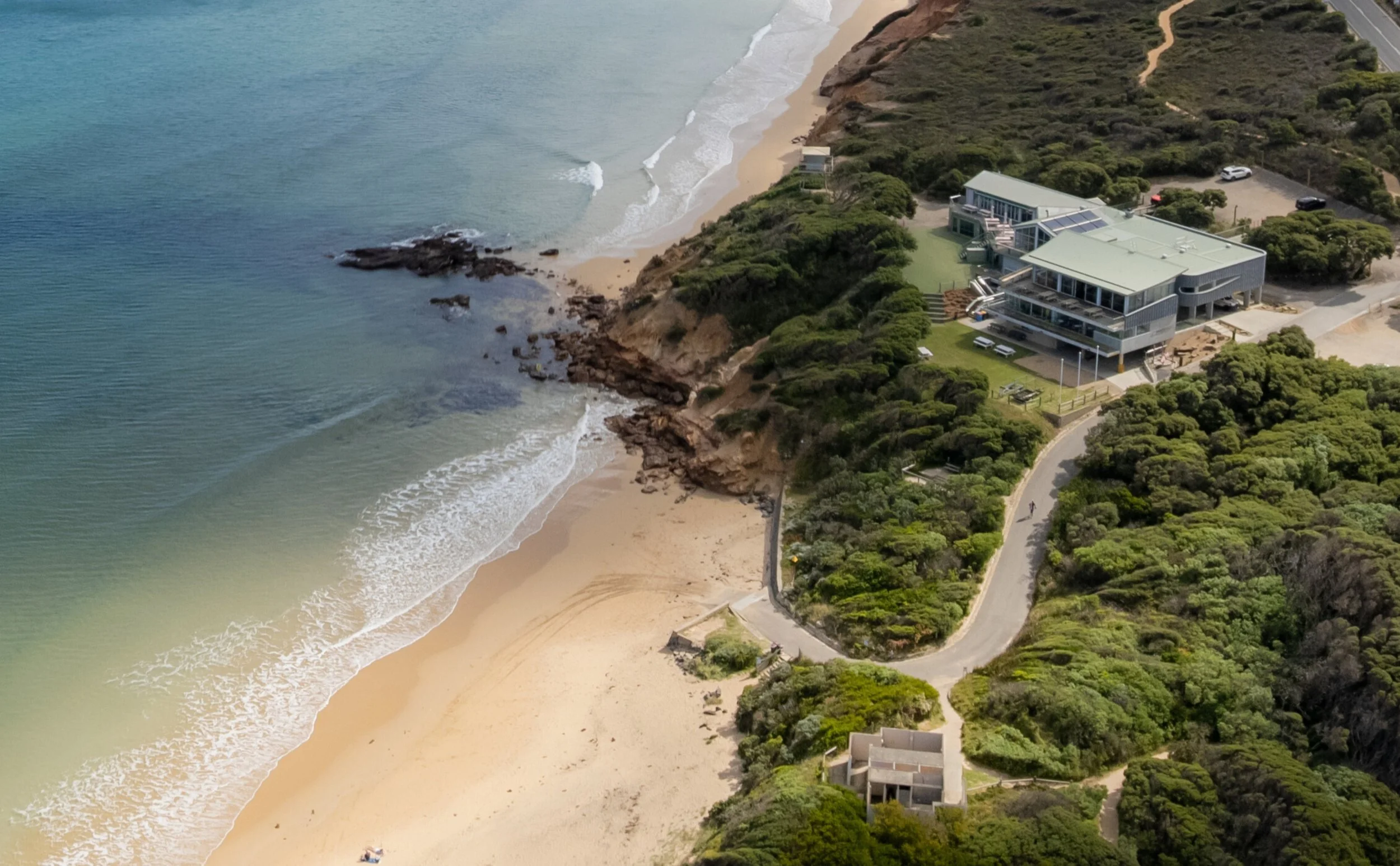 Untitled design (20).jpg