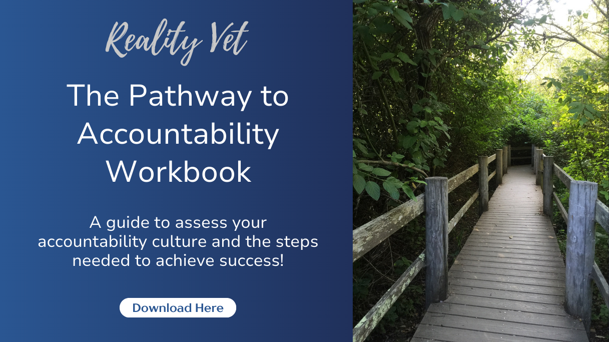 The Pathway to Accountability Workbook.png
