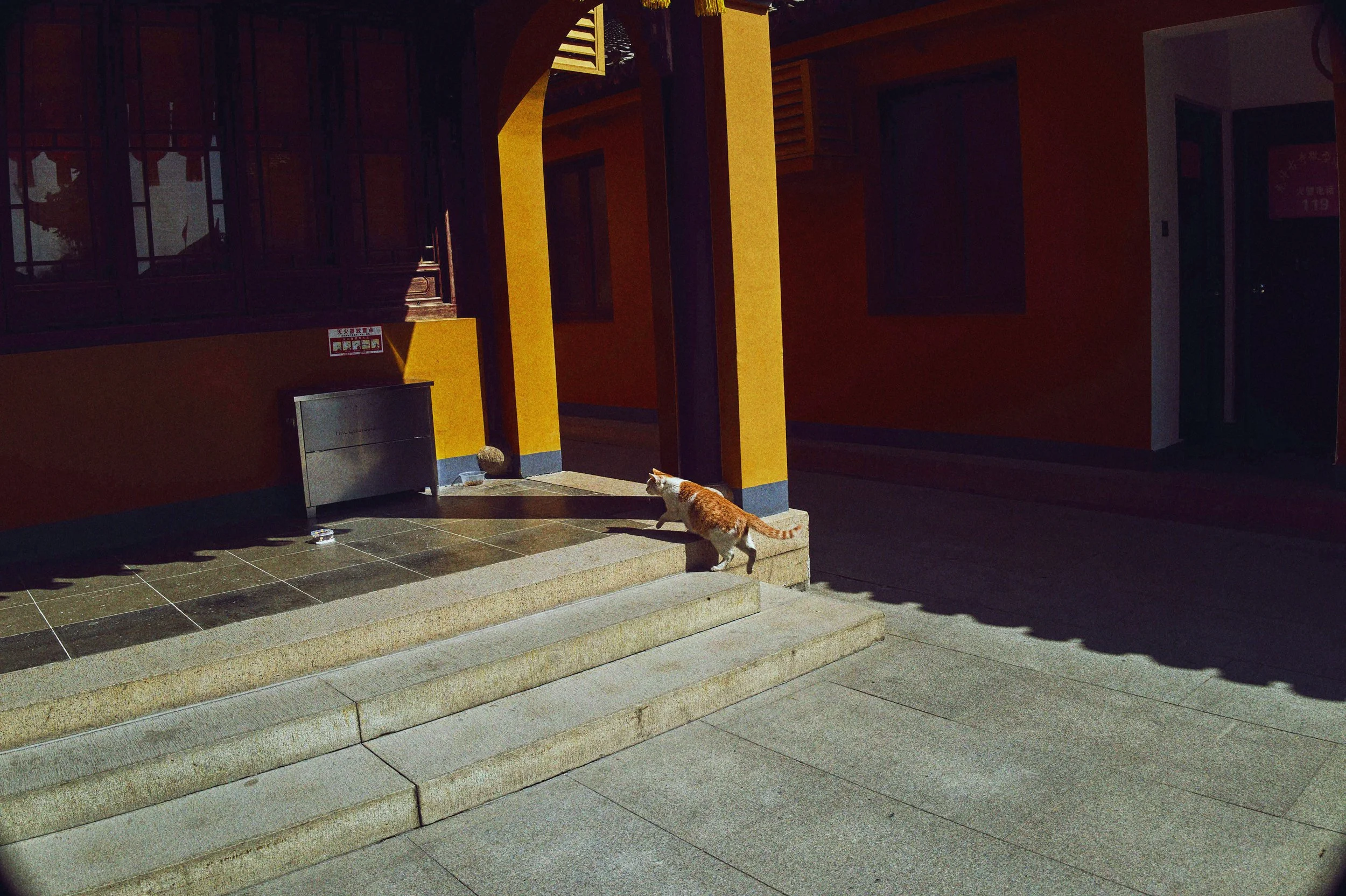 260310_ImagineDragons_LoomTour_Shanghai_01_0257.jpg
