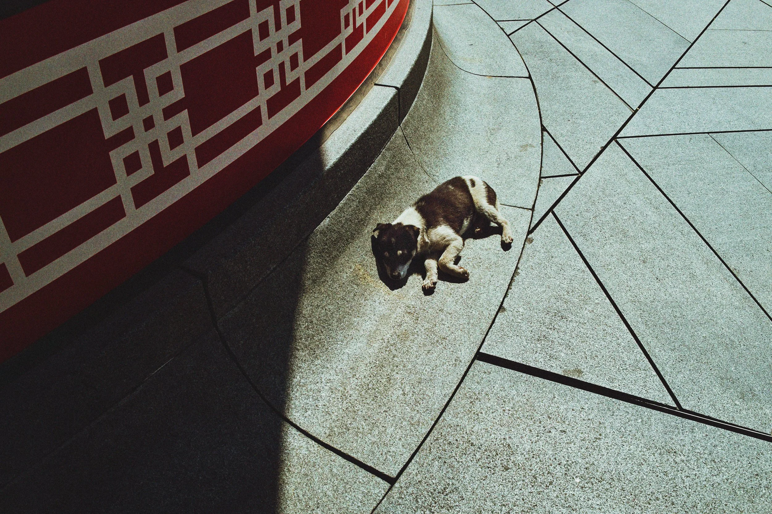 260310_ImagineDragons_LoomTour_Shanghai_01_0215.jpg