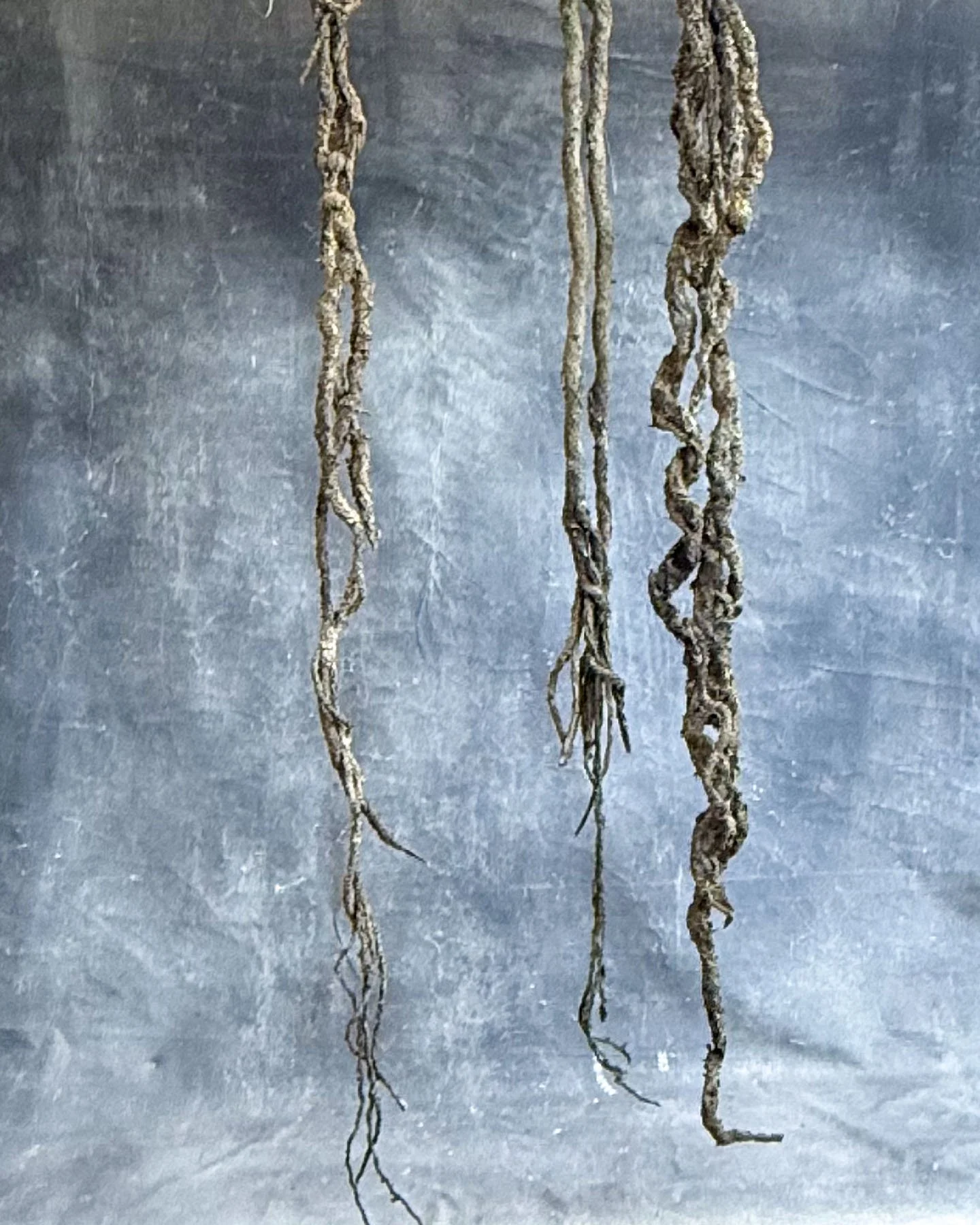 Cave Vine (Artificial)