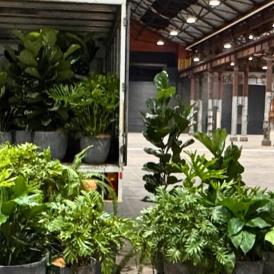 Bumping out of Carriageworks.

.

#filmgreens #setdesign #greensdepartment #PlantHire #SydneyProps #BehindTheScenes #LivingProps