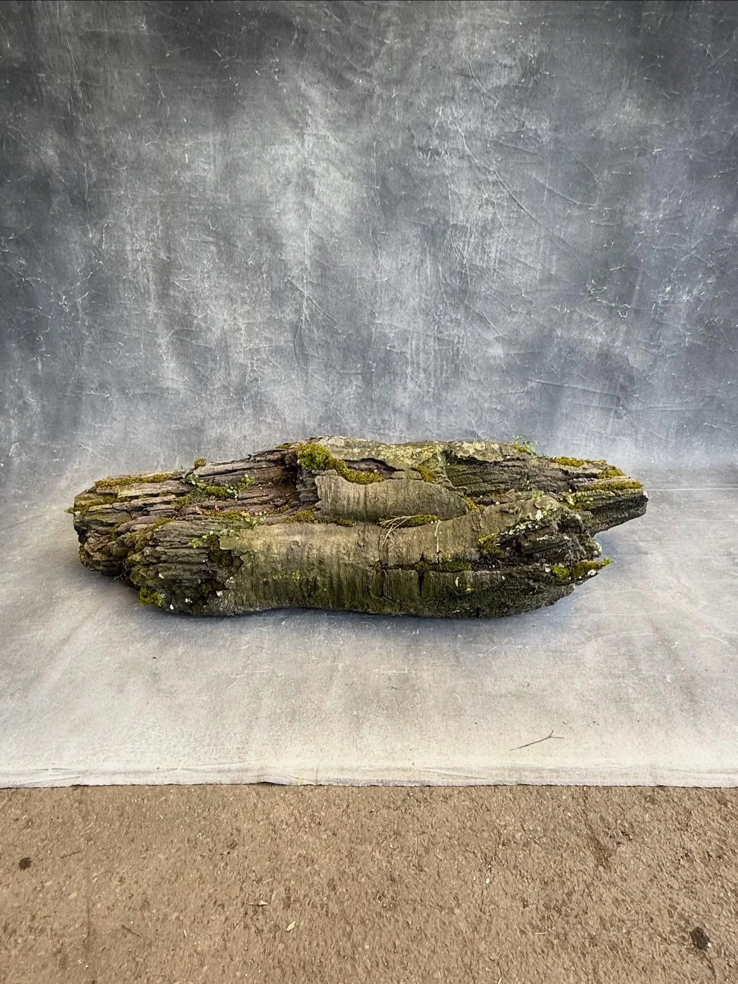 Getting around to photographing some of our new landscape props. This weathered, mossy log is already a favourite here. So much natural character.

#LandscapeProp #SetDressing #PropHire #ArtDepartment #FilmProps