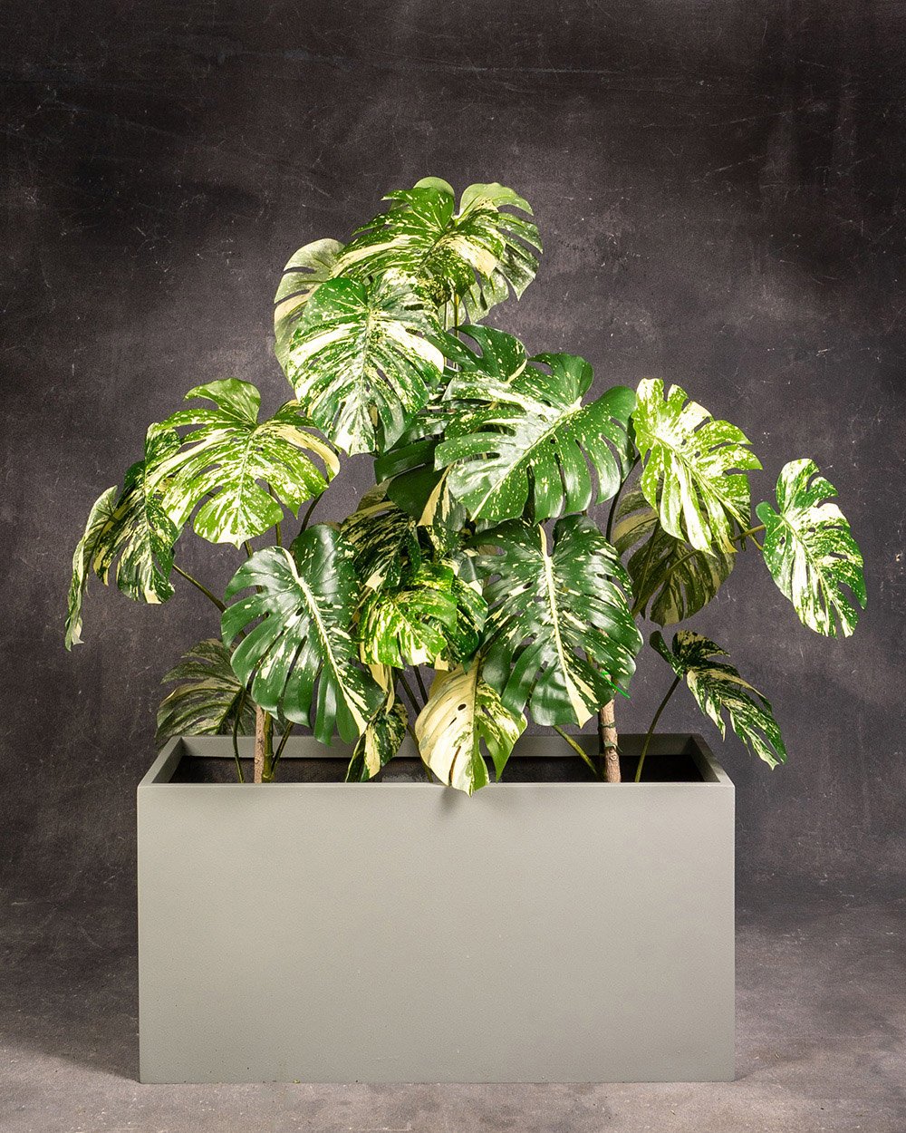 Monstera-Deliciosa-Variegated-(Artificial-in-Planter-Box).jpg