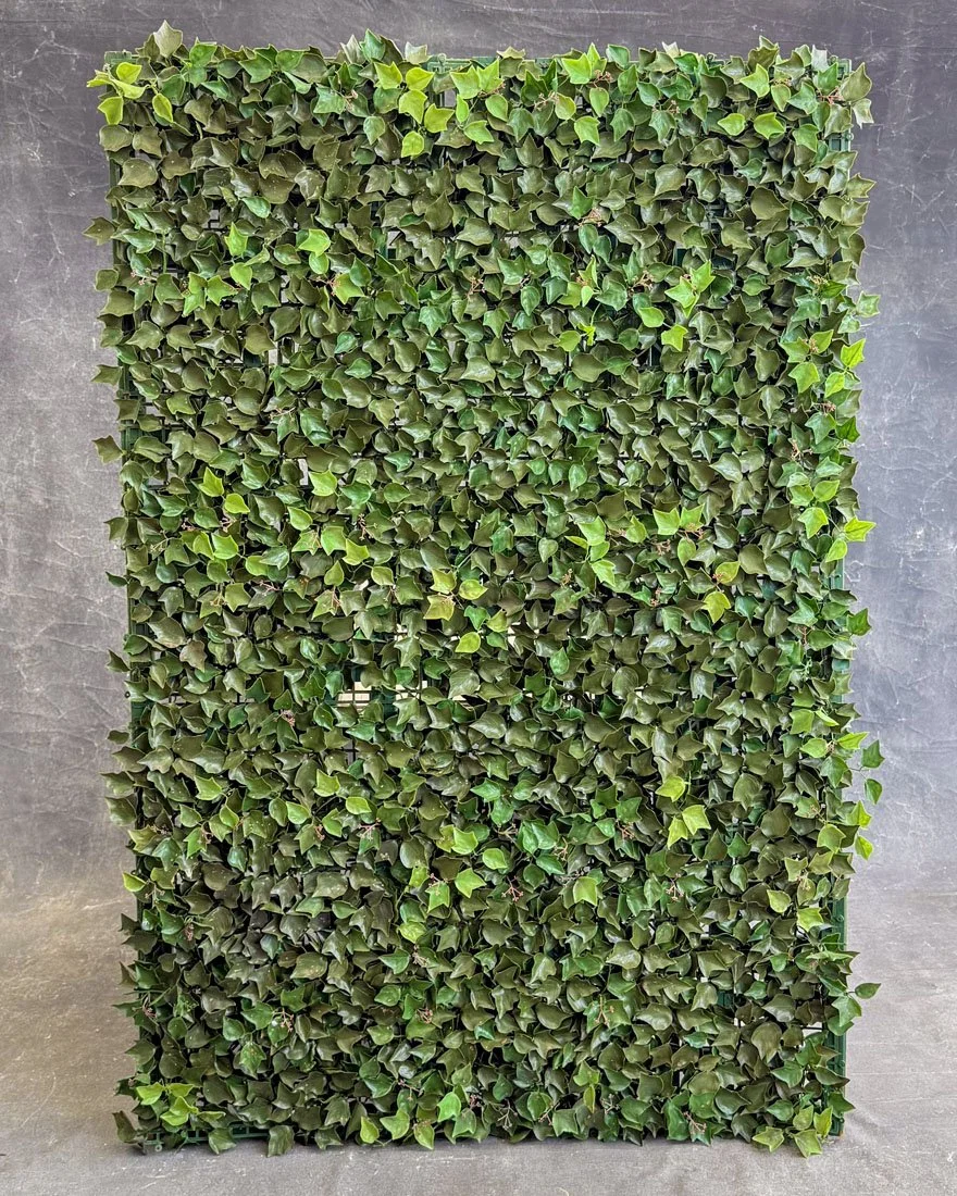 English Ivy (Lattice Panel)