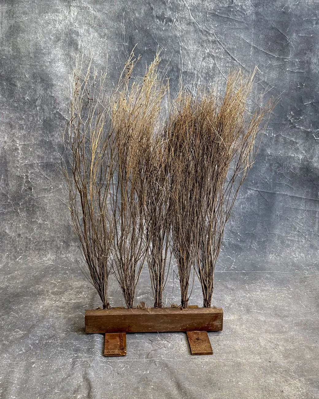 Dry Brush (On Stand)