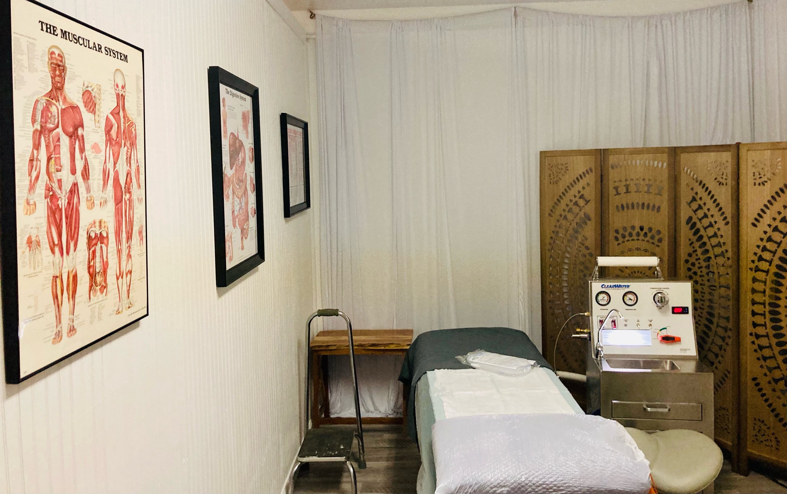 Colon Hydrotherapy — Wisdom Wellness & Colon Care