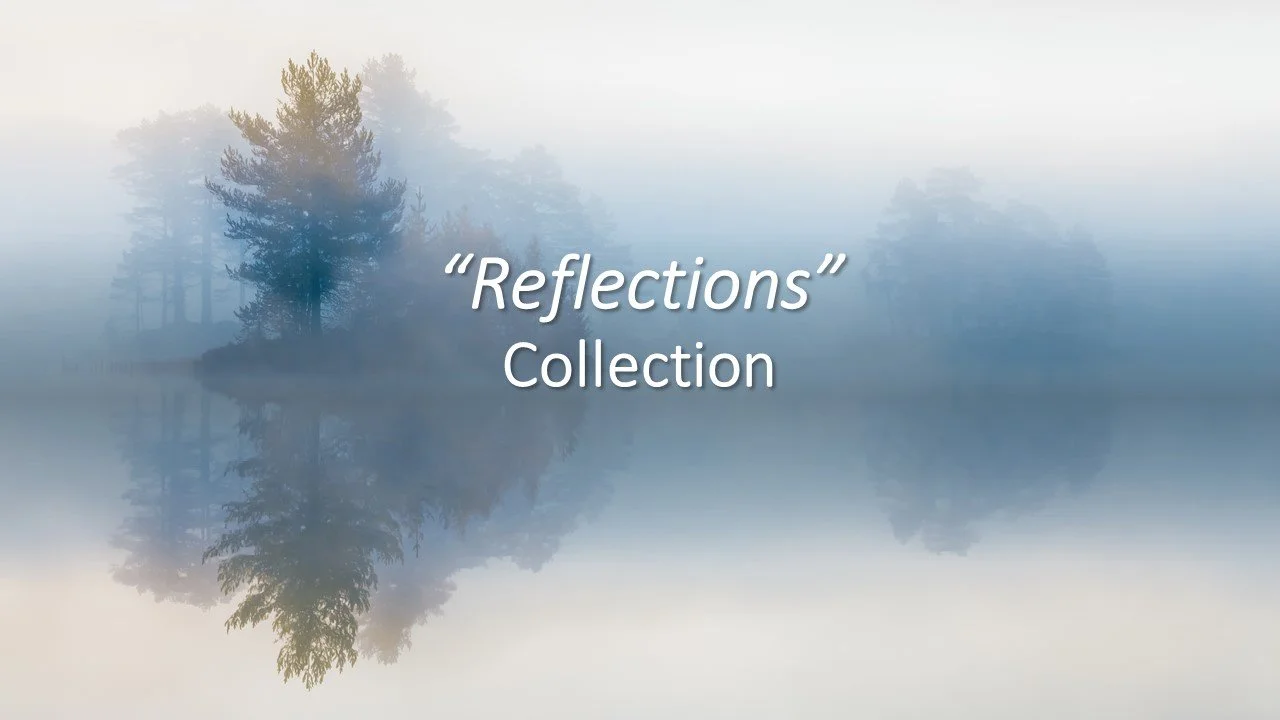 "Reflections" Collection featuring original artwork from Dexter painted on location