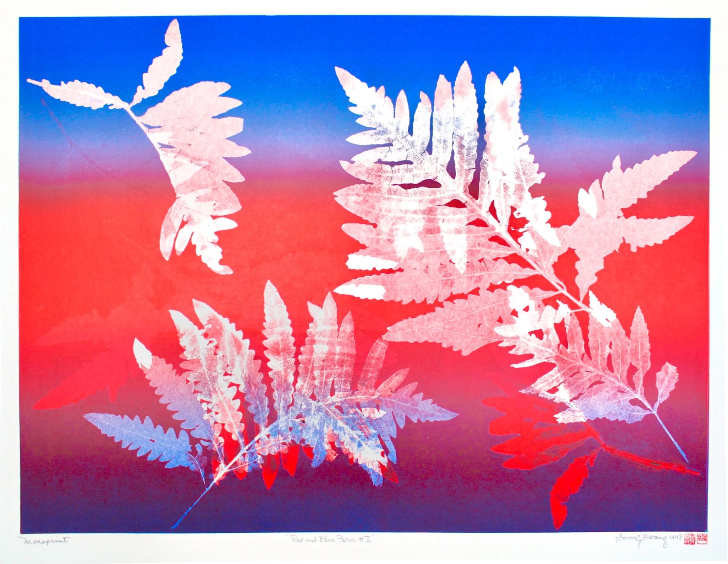 Red_7_Blue_Fern_#2.jpg
