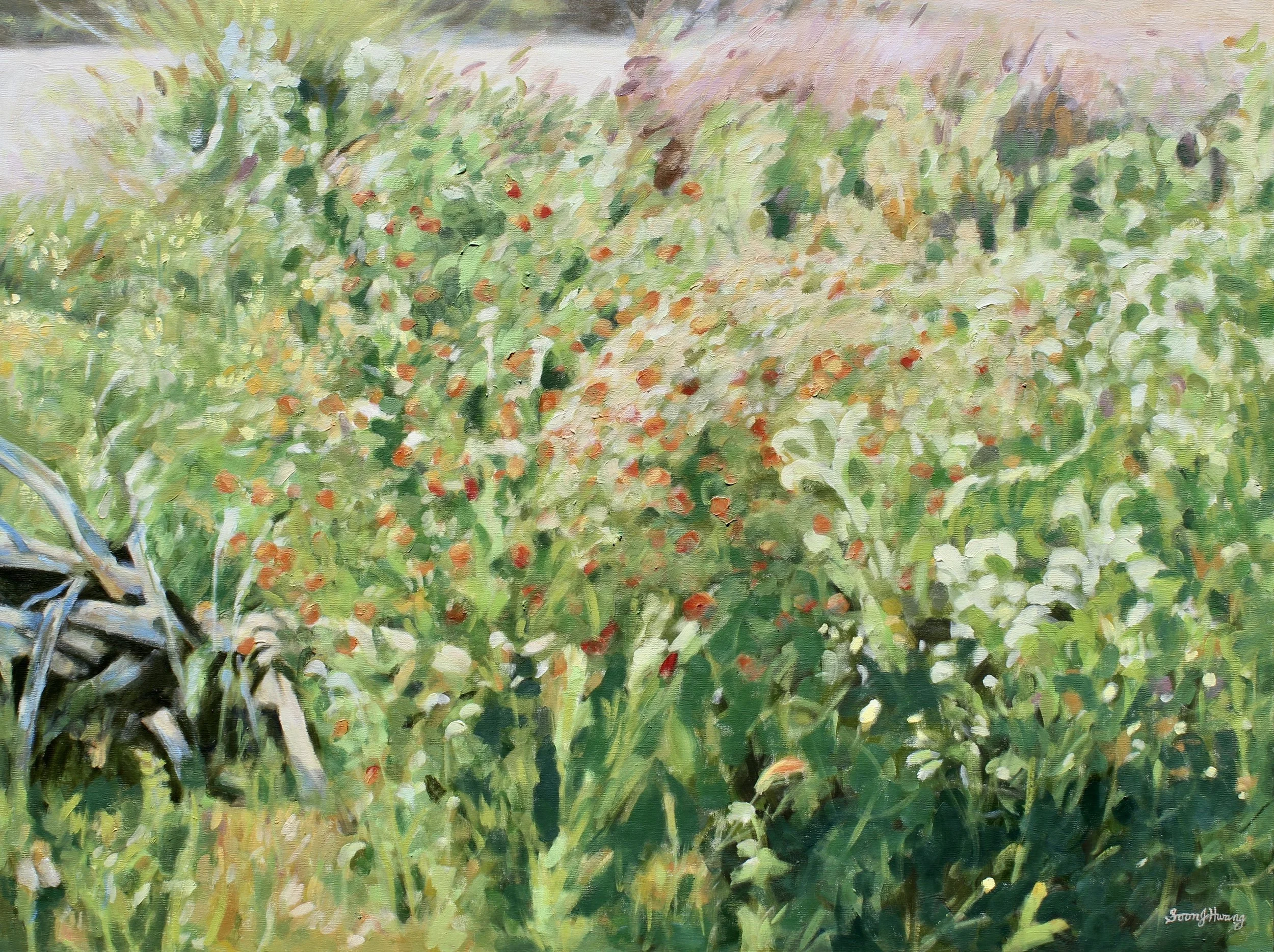 Wild Flowers at Joshua Tree