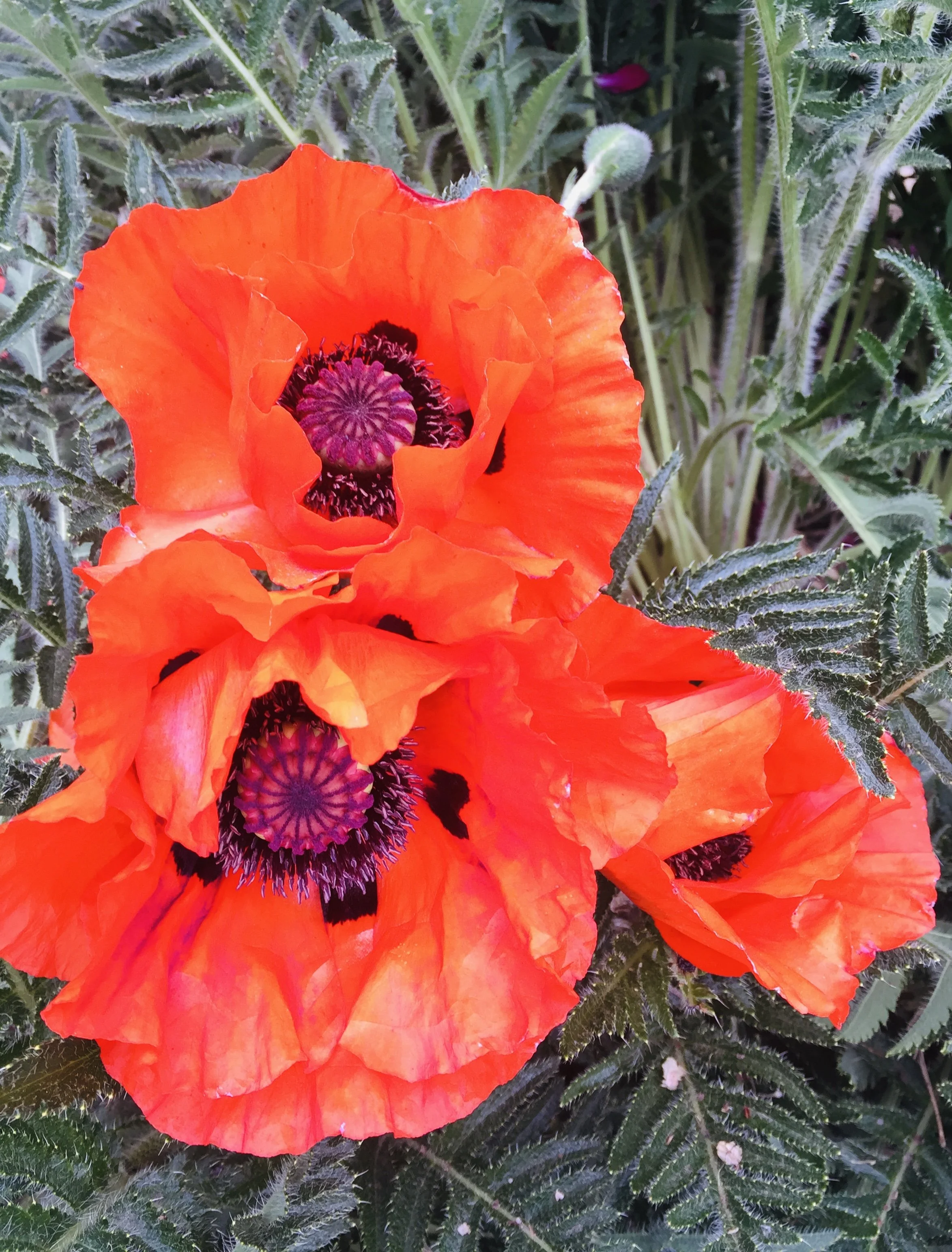 Art &amp; Environmentalism in New Mexico, Albuquerque, NM