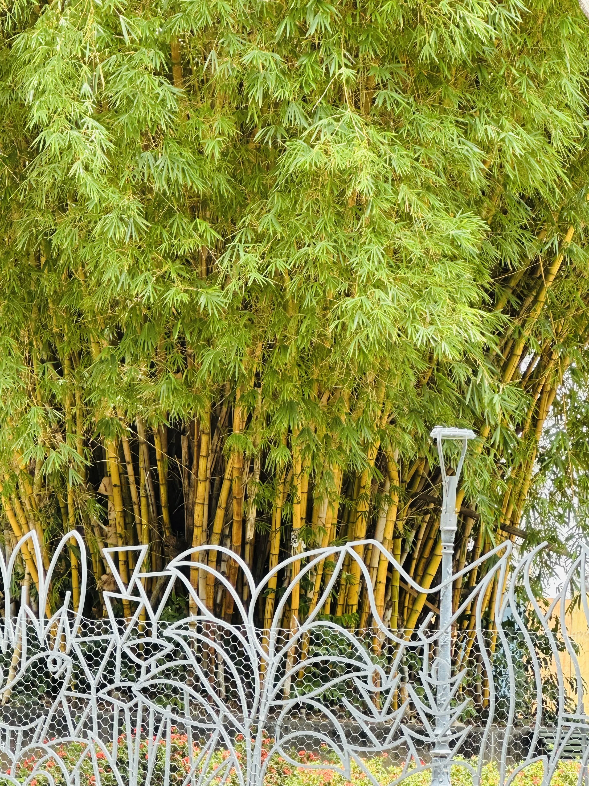 Environmental Summit, SUNY Plattsburgh, Keynote