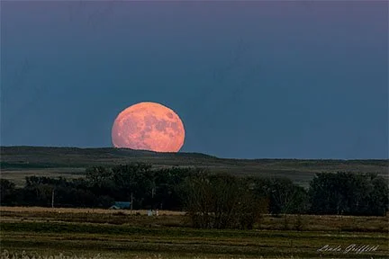 Full Harvest Moon