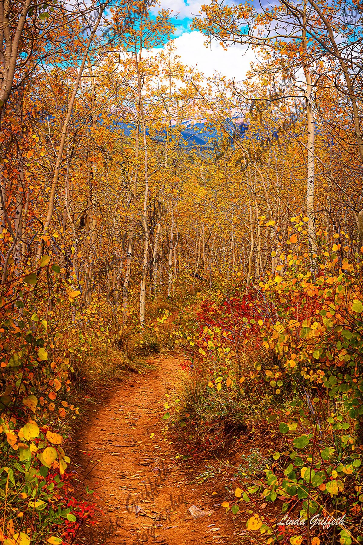 Aspen Path Kenosha 