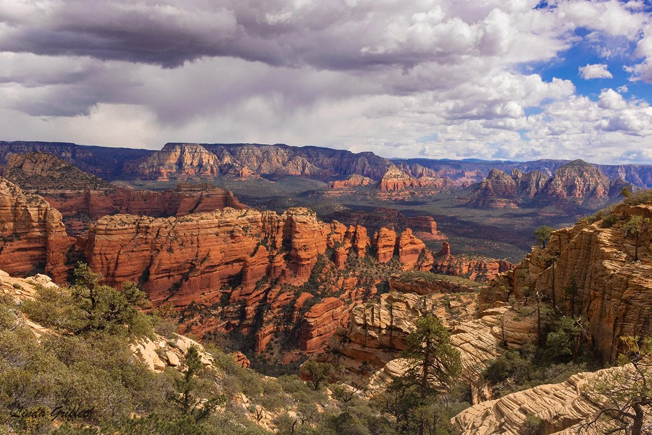 Top of the World.jpg