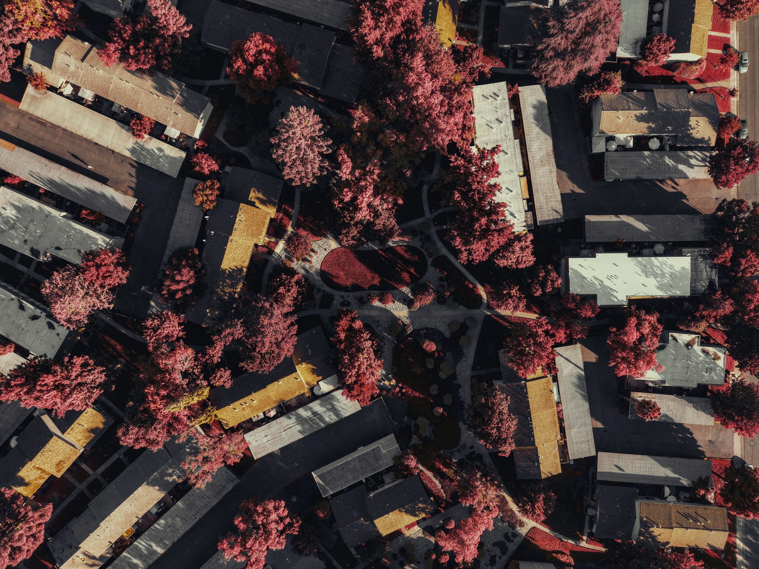 An aerial view of a neighborhood with several houses surrounded by pink trees, and a park with pathways and landscaping in the center.