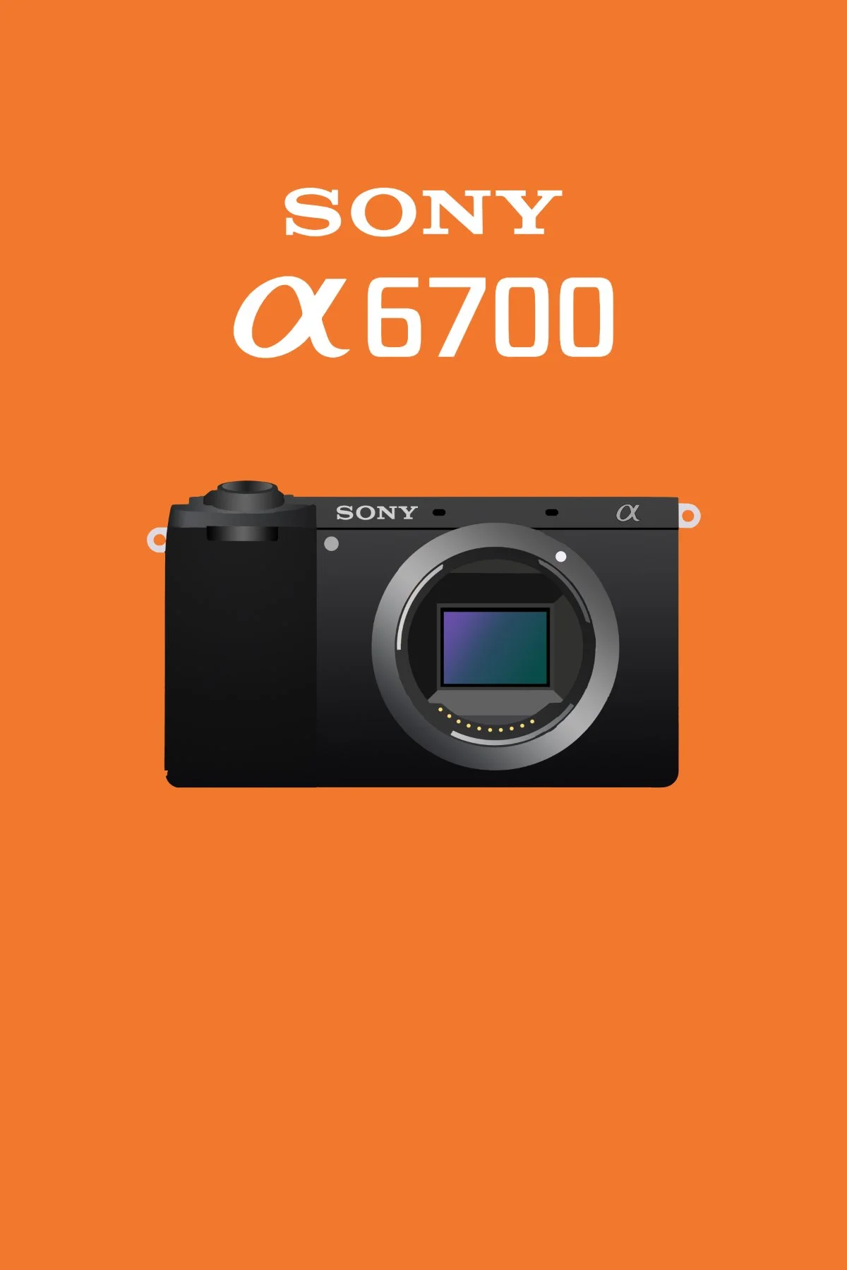 4x6 Sony.jpg