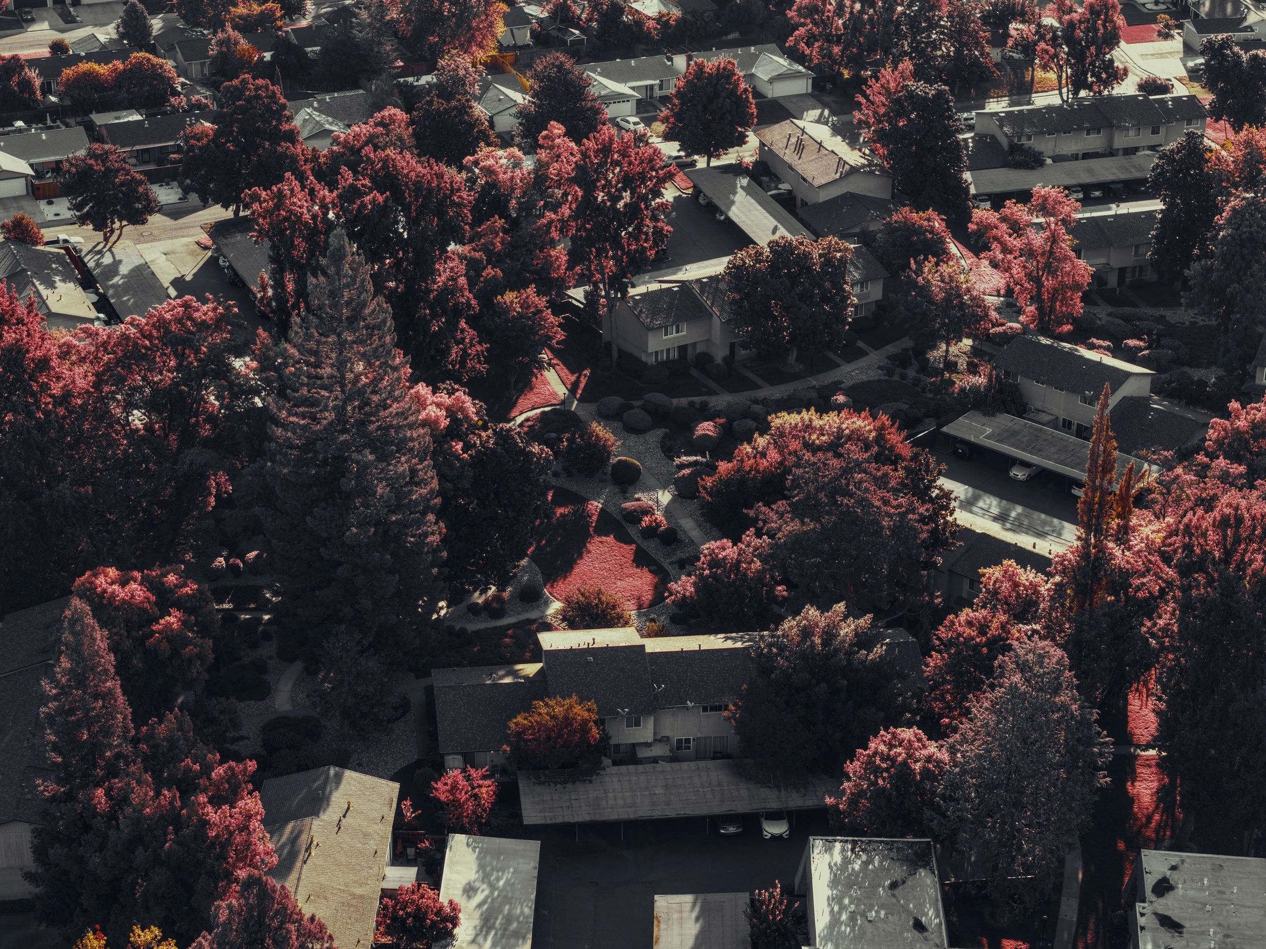 An aerial view of a residential neighborhood with houses, trees, and streets. The trees are in shades of pink, indicating an autumn or spring scene.