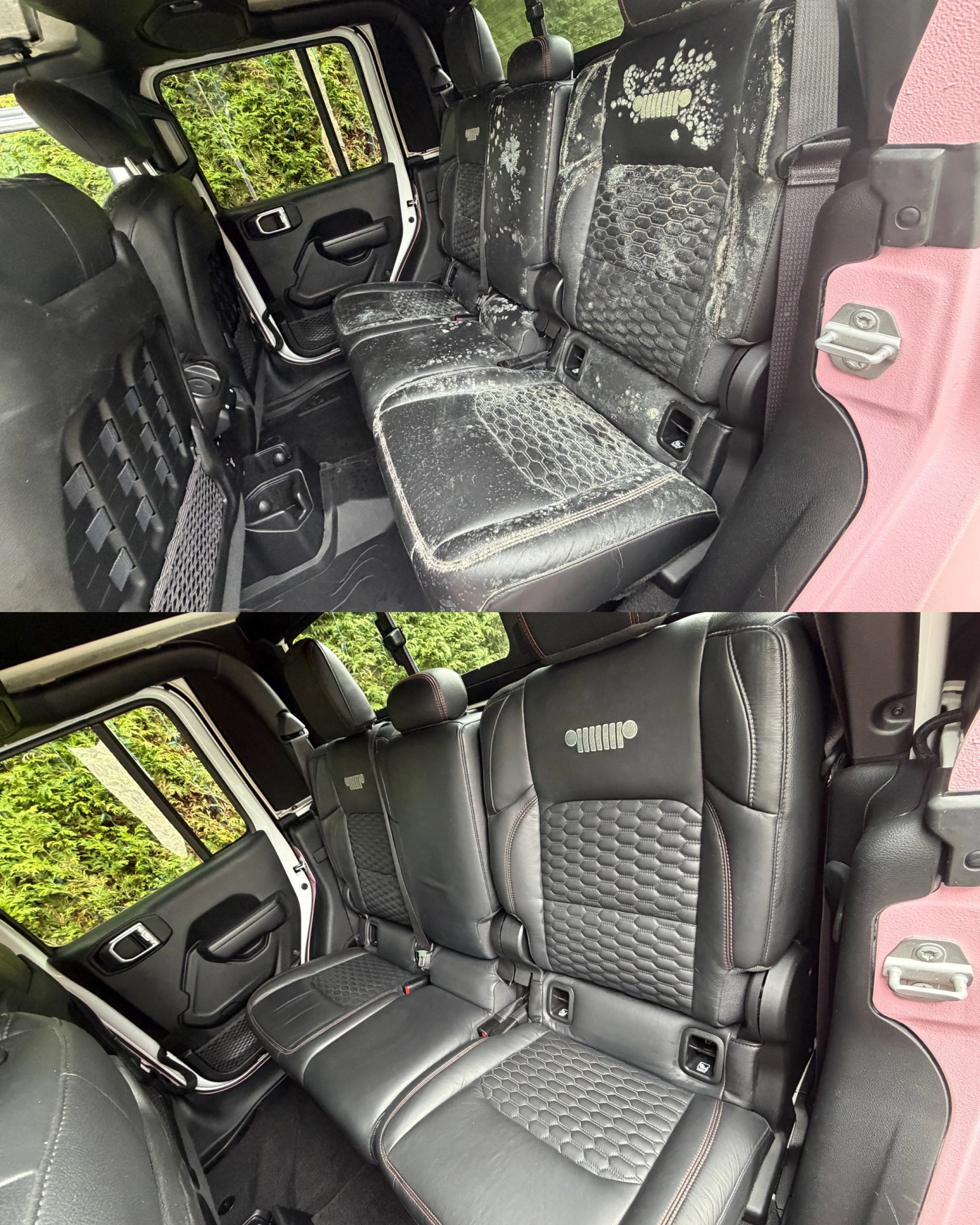 mold removal services car