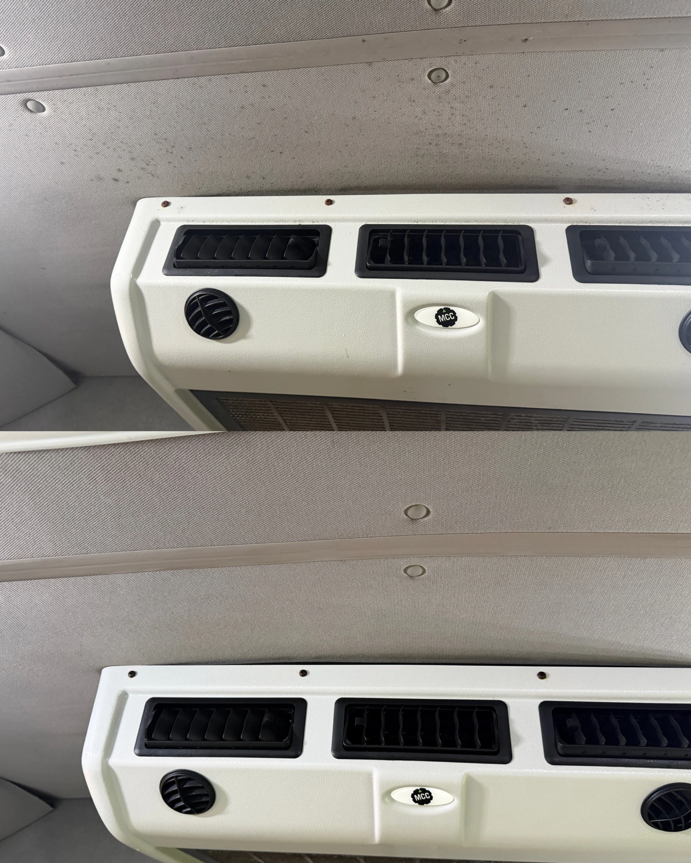 fleet mold removal