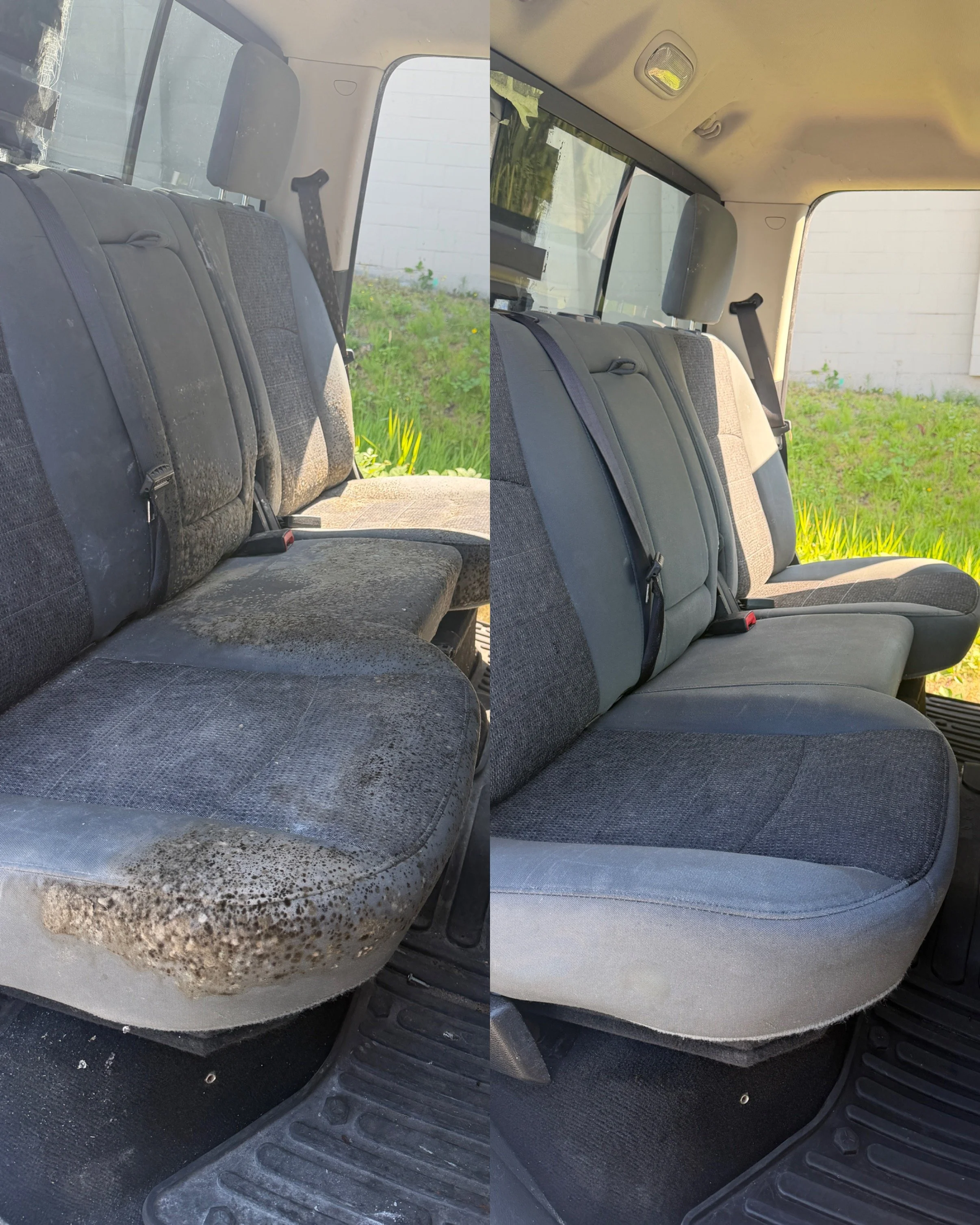 mold